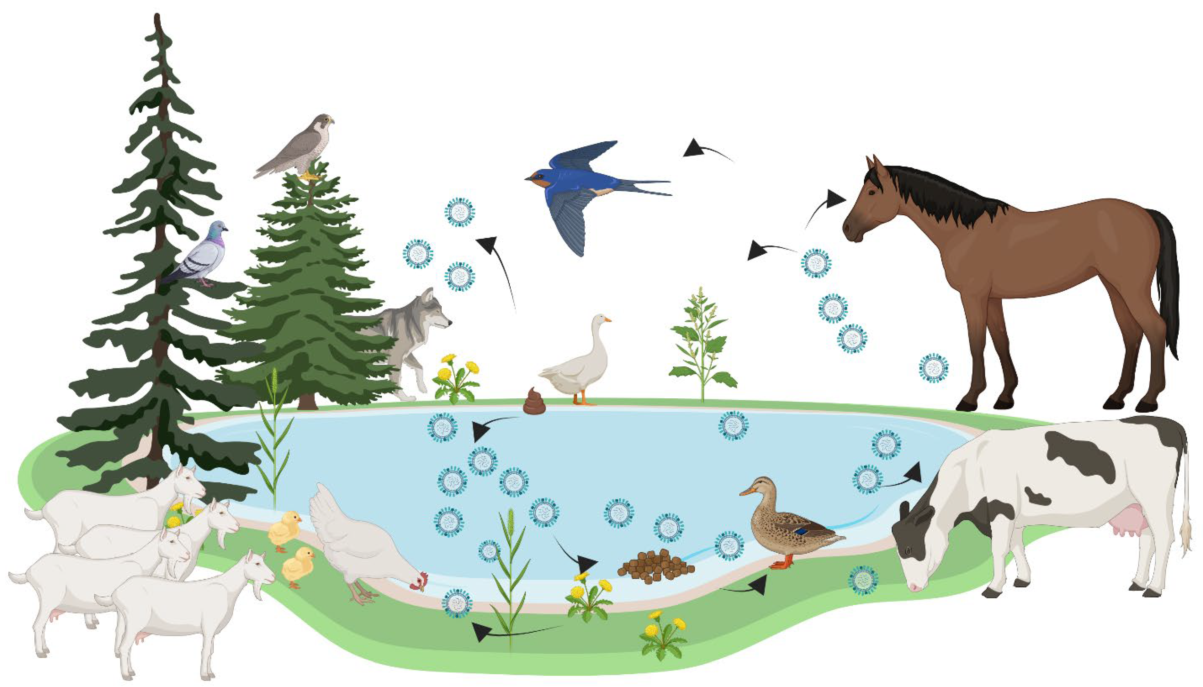 Viruses 17 01557 g002