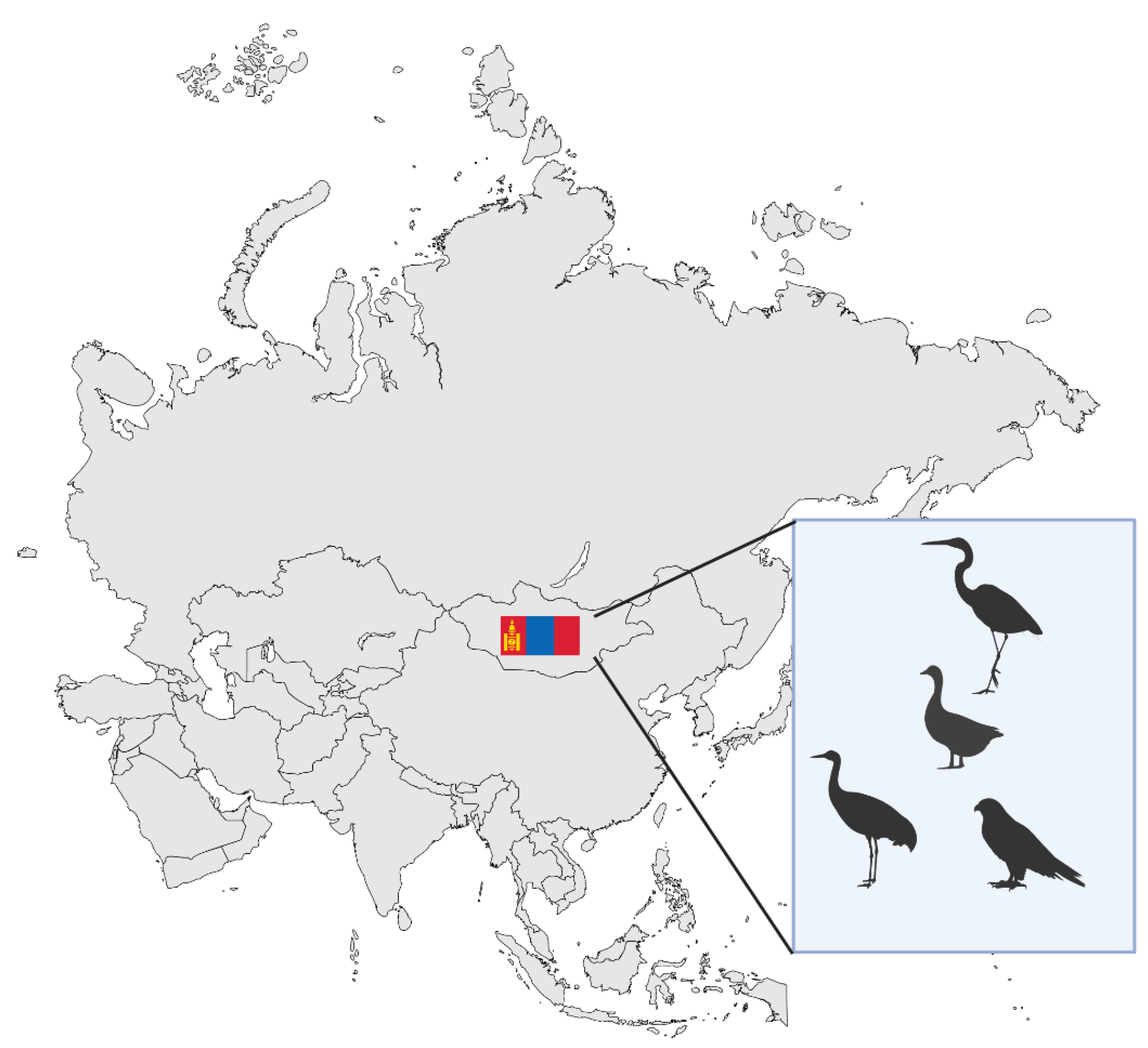 Viruses 17 01557 g006