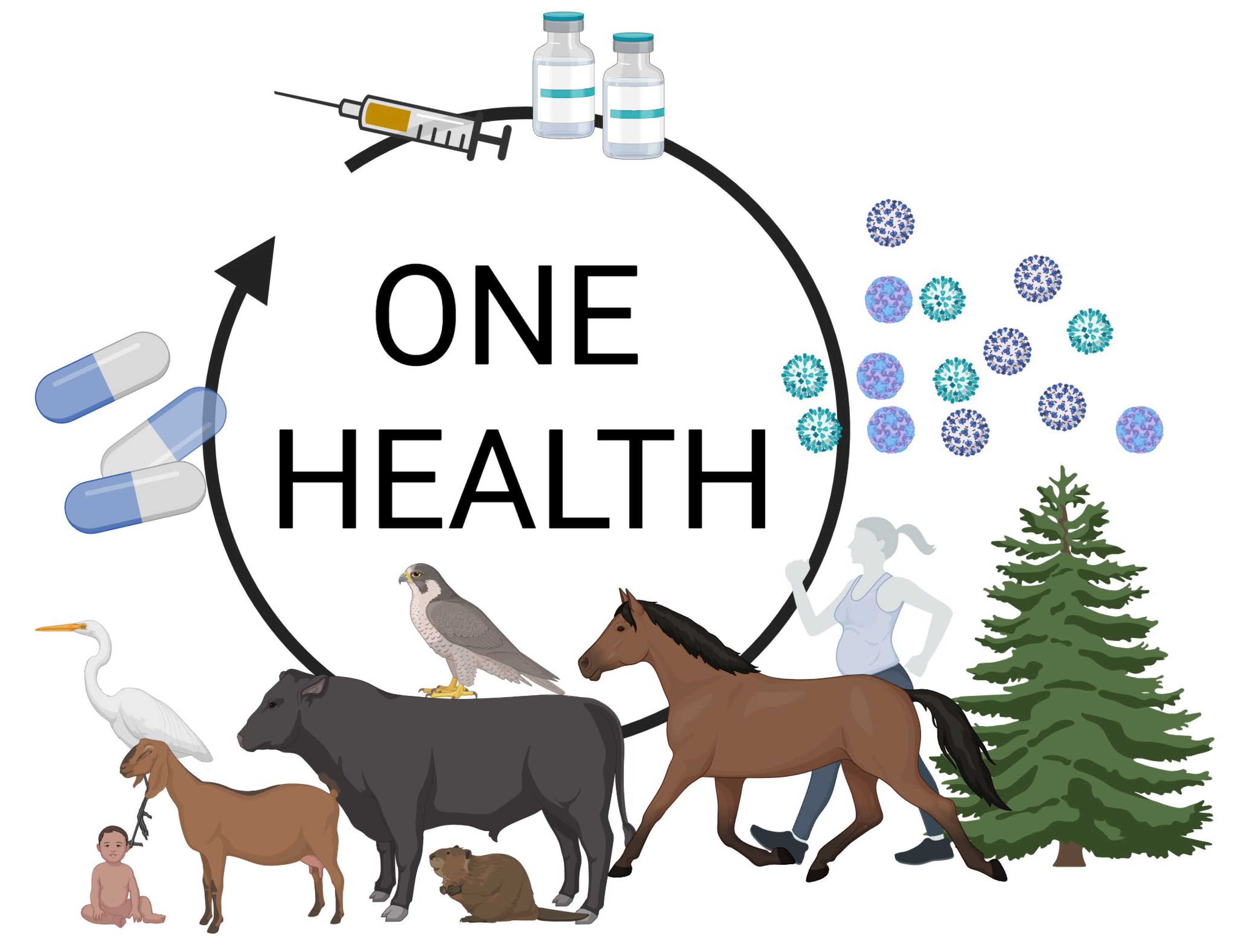 Viruses 17 01557 g007