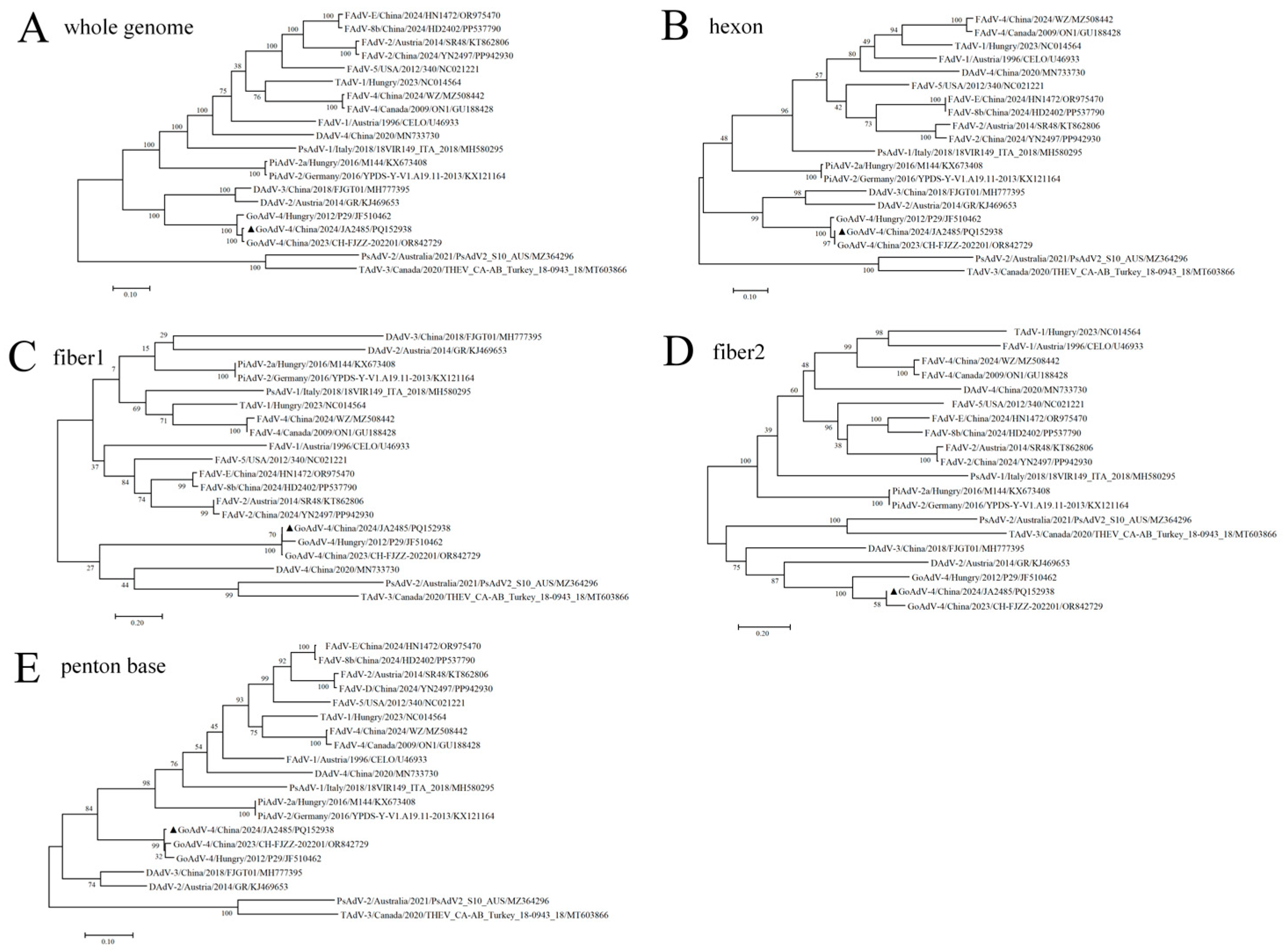Viruses 17 01560 g002 Viruses 17 01560 g002