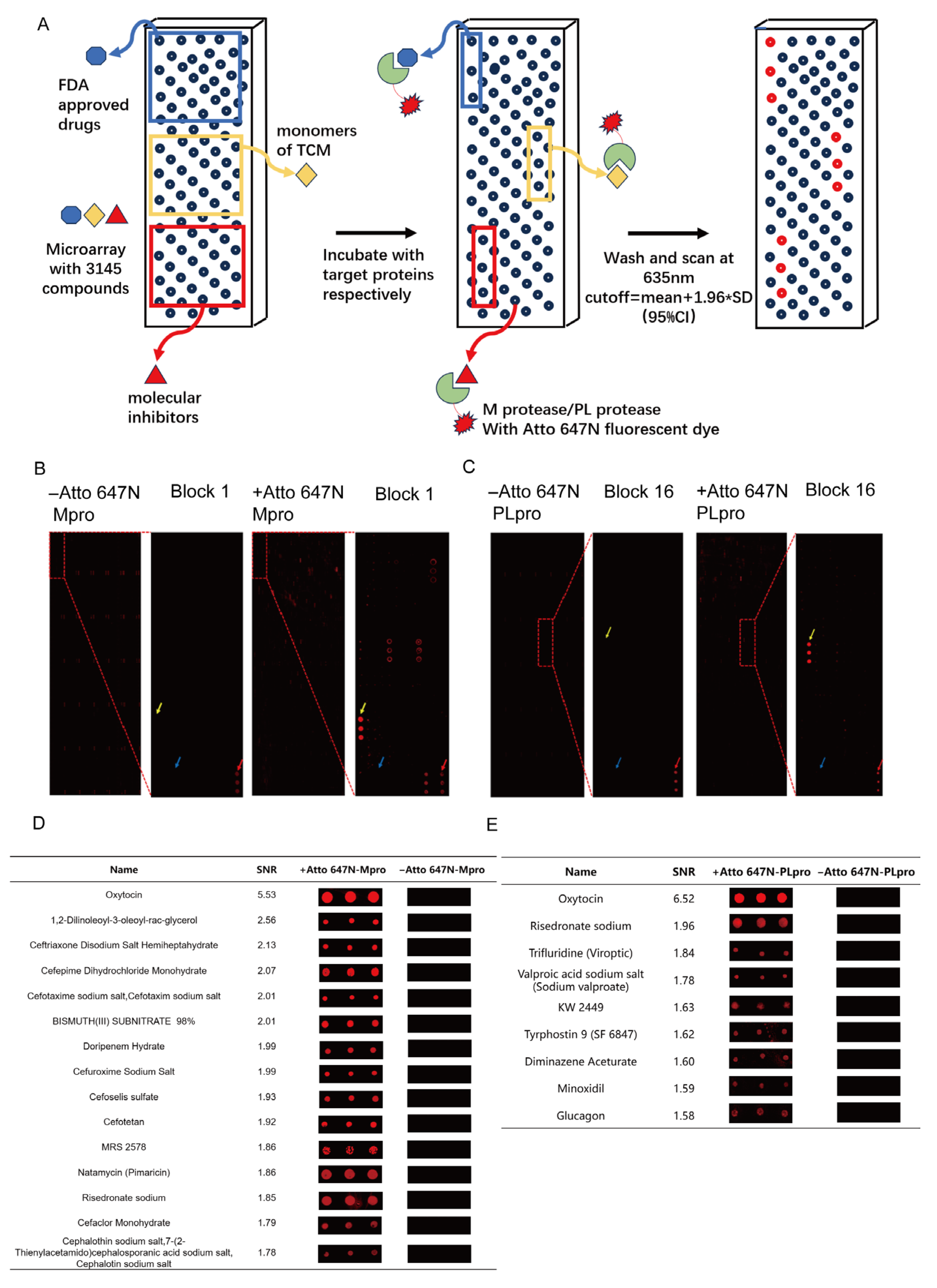 Viruses 17 01564 g002
