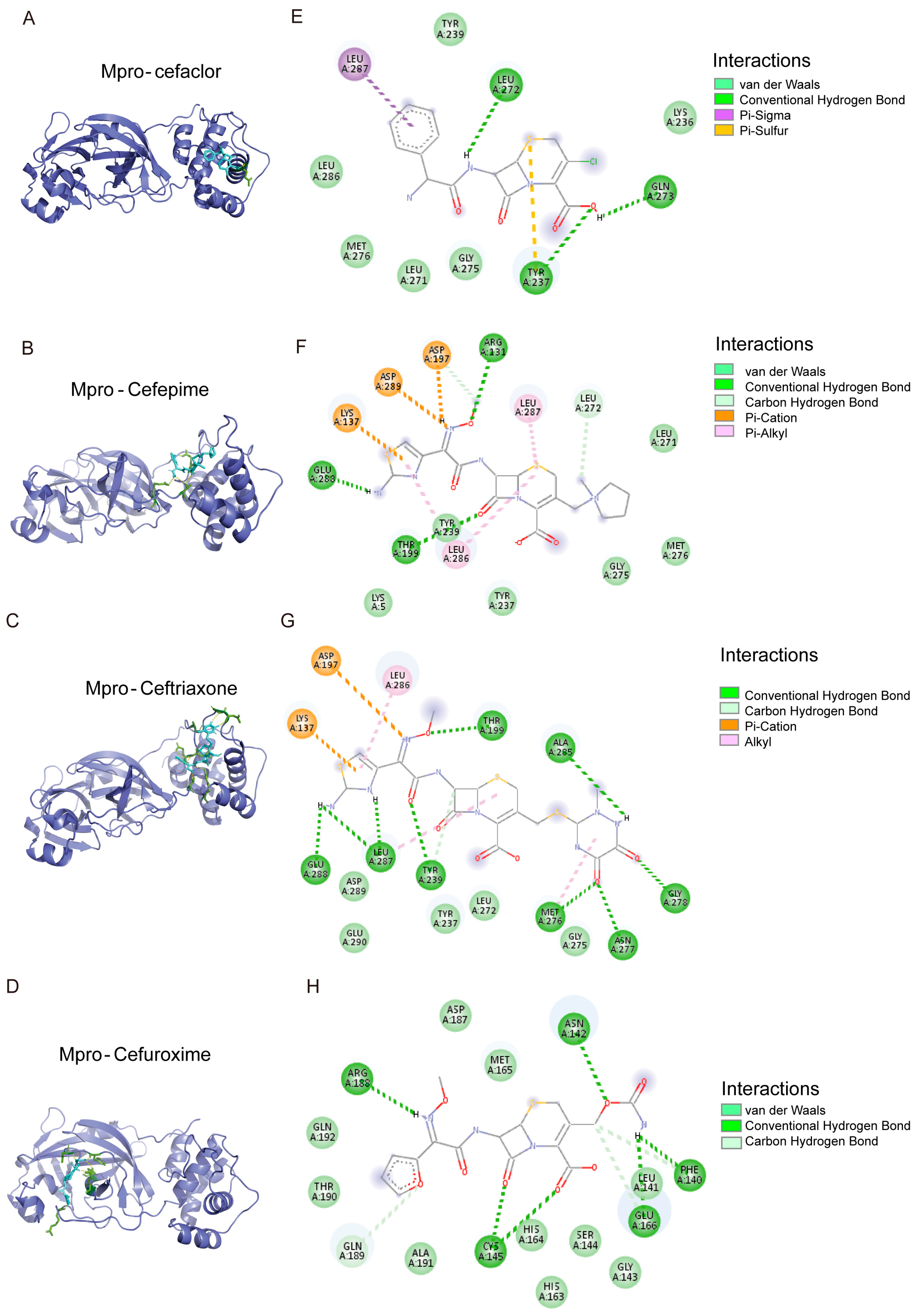 Viruses 17 01564 g008
