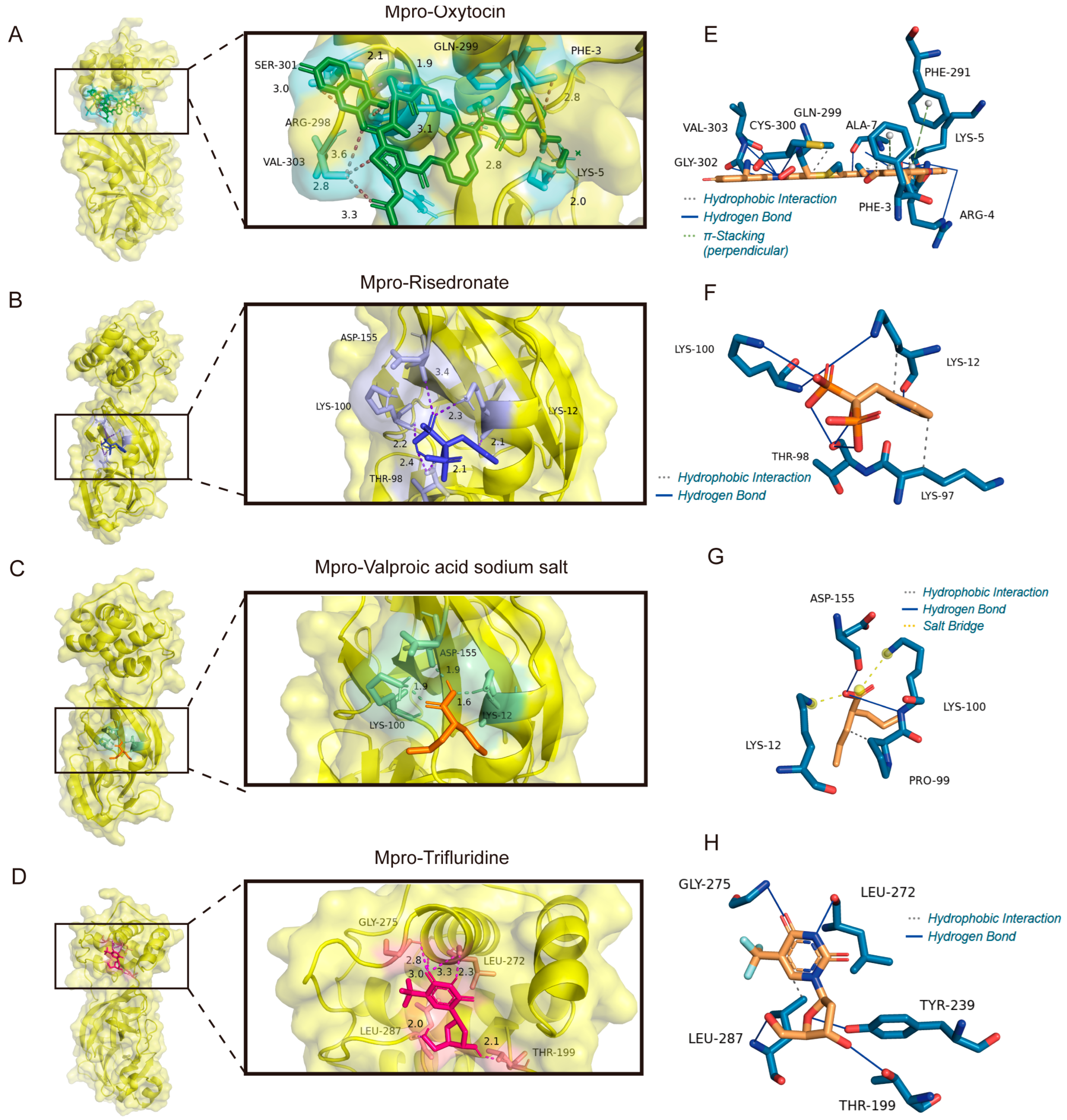 Viruses 17 01564 g009