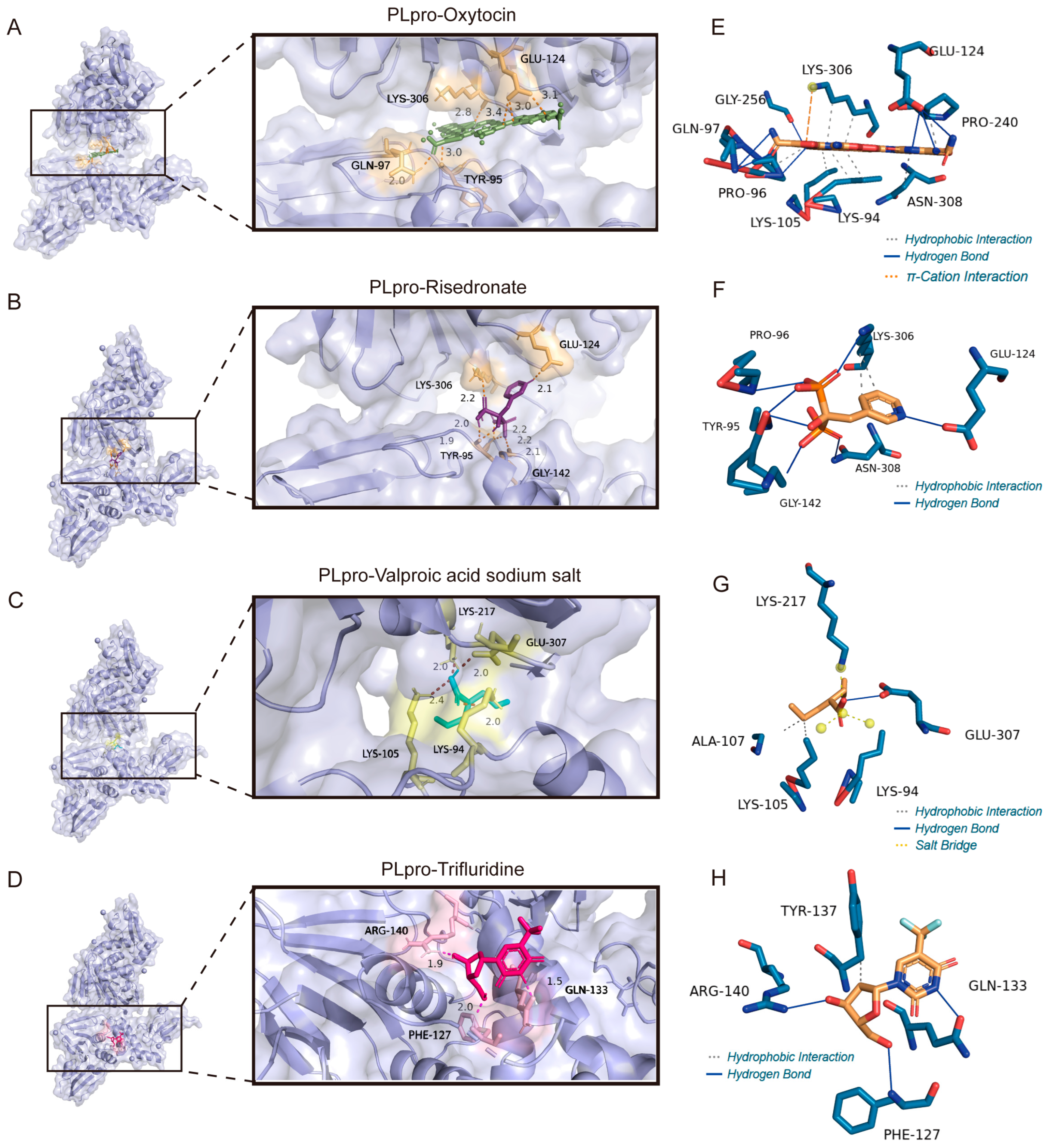 Viruses 17 01564 g010