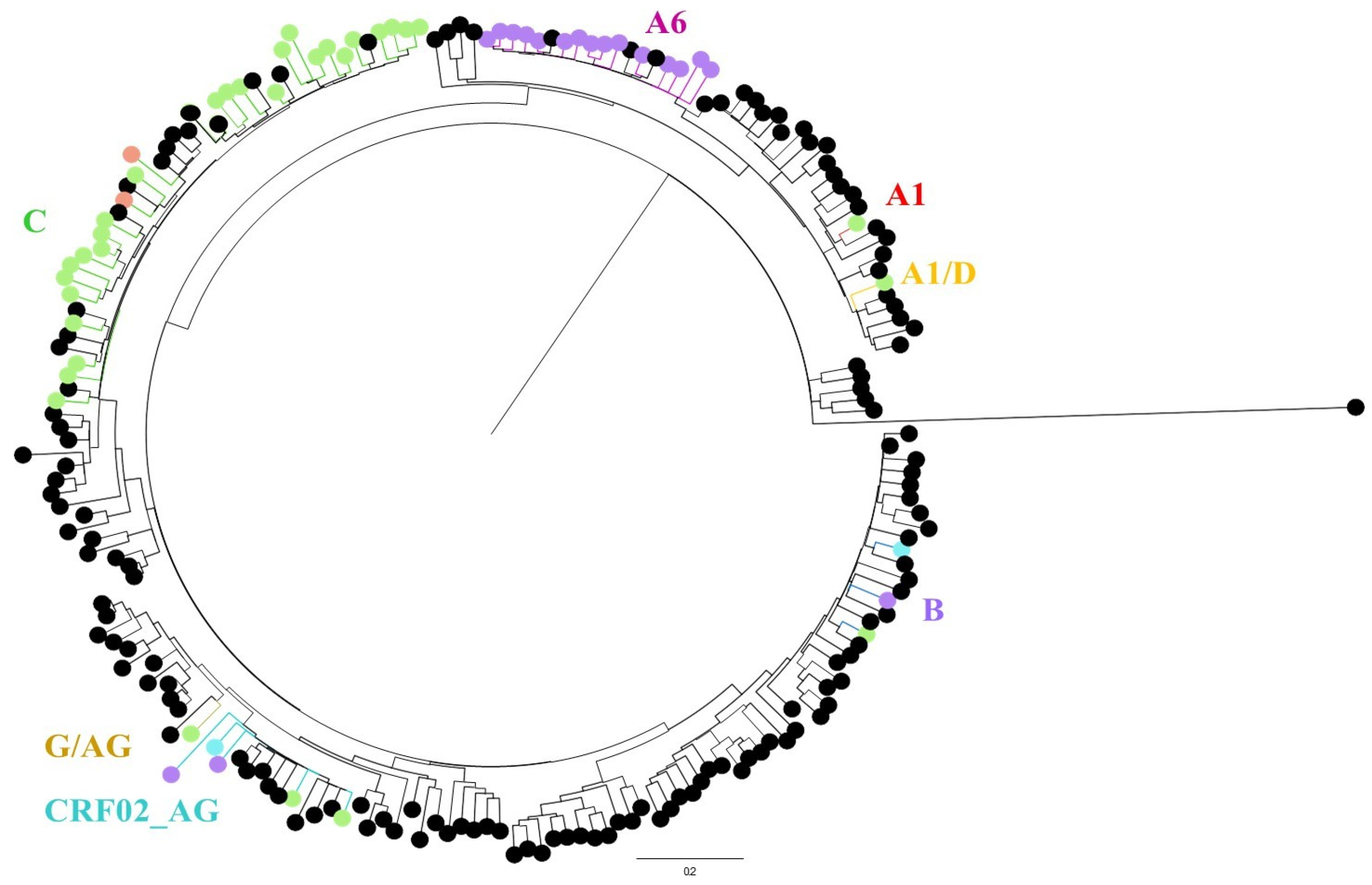 Viruses 17 01566 g005