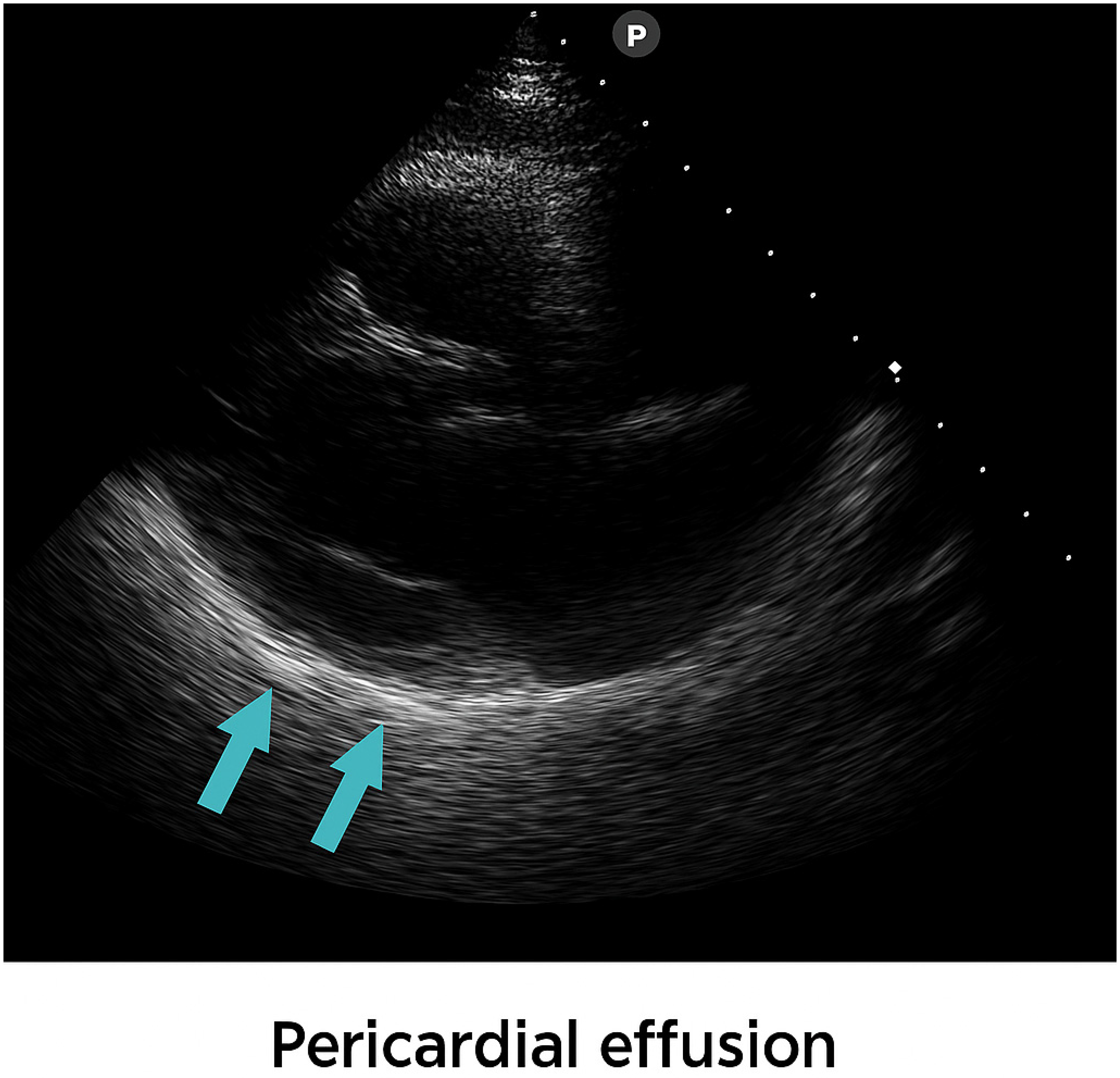 Viruses 17 01567 g002a Viruses 17 01567 g002a