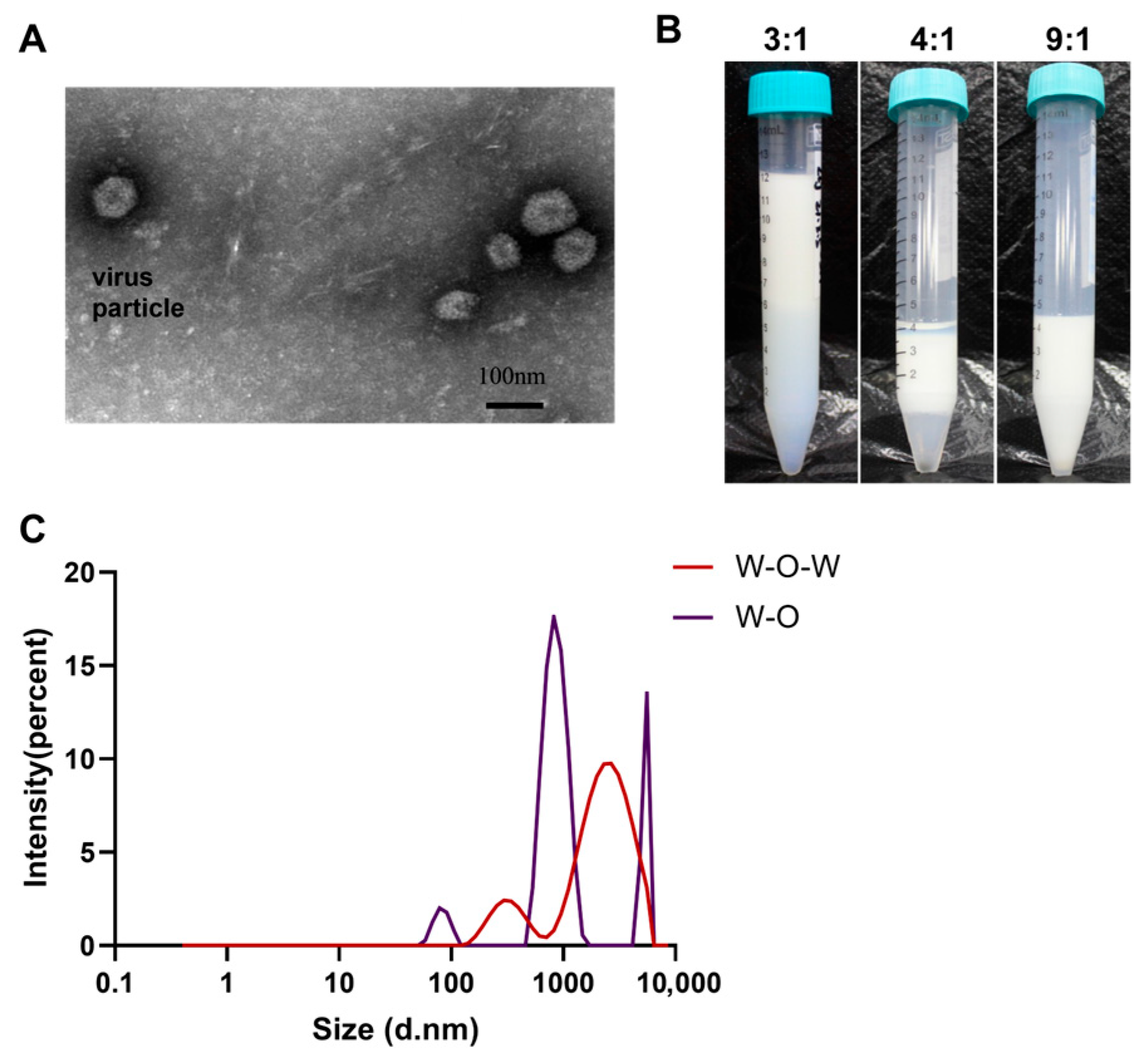 Viruses 17 01569 g001
