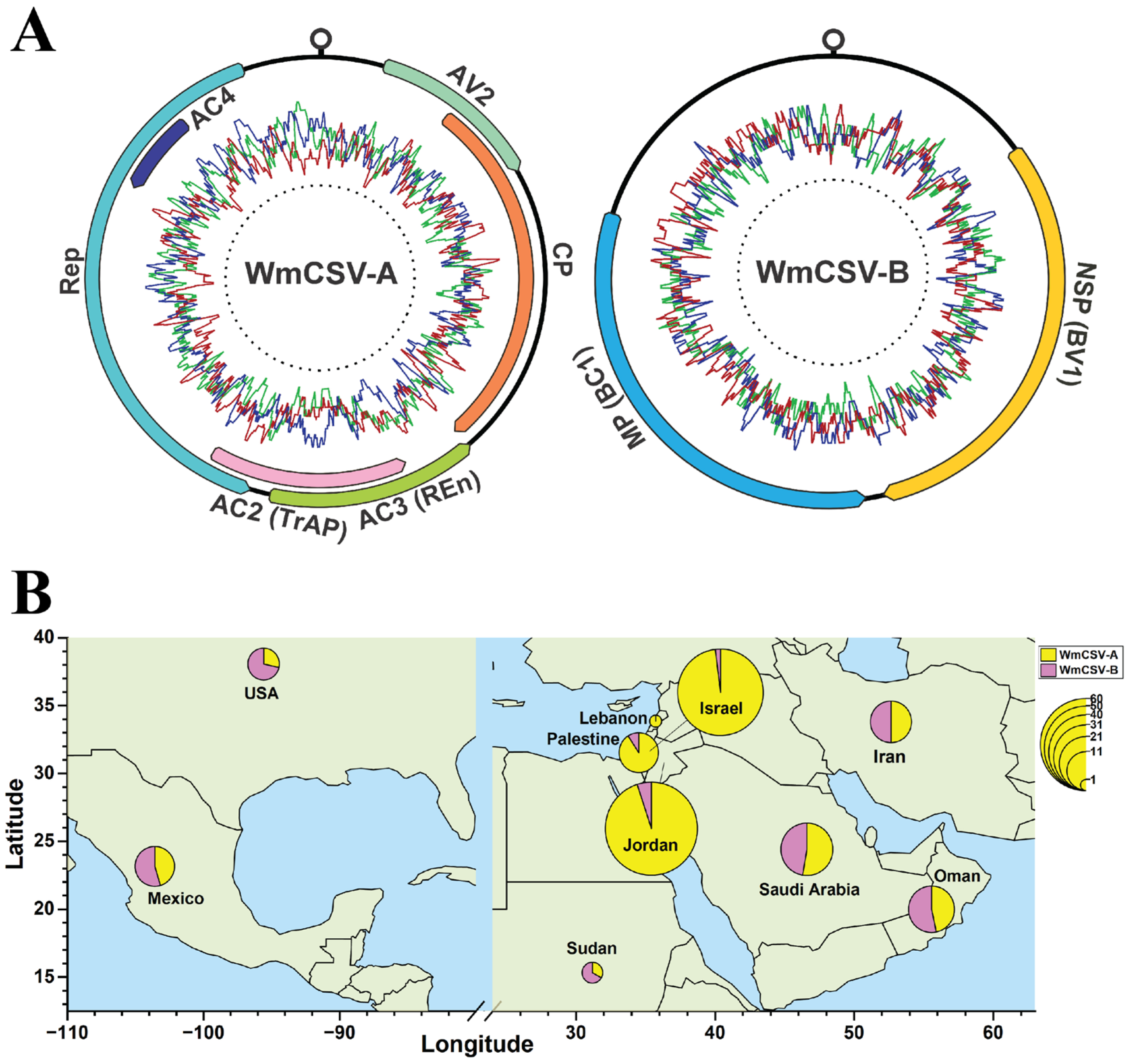 Viruses 17 01571 g001 Viruses 17 01571 g001