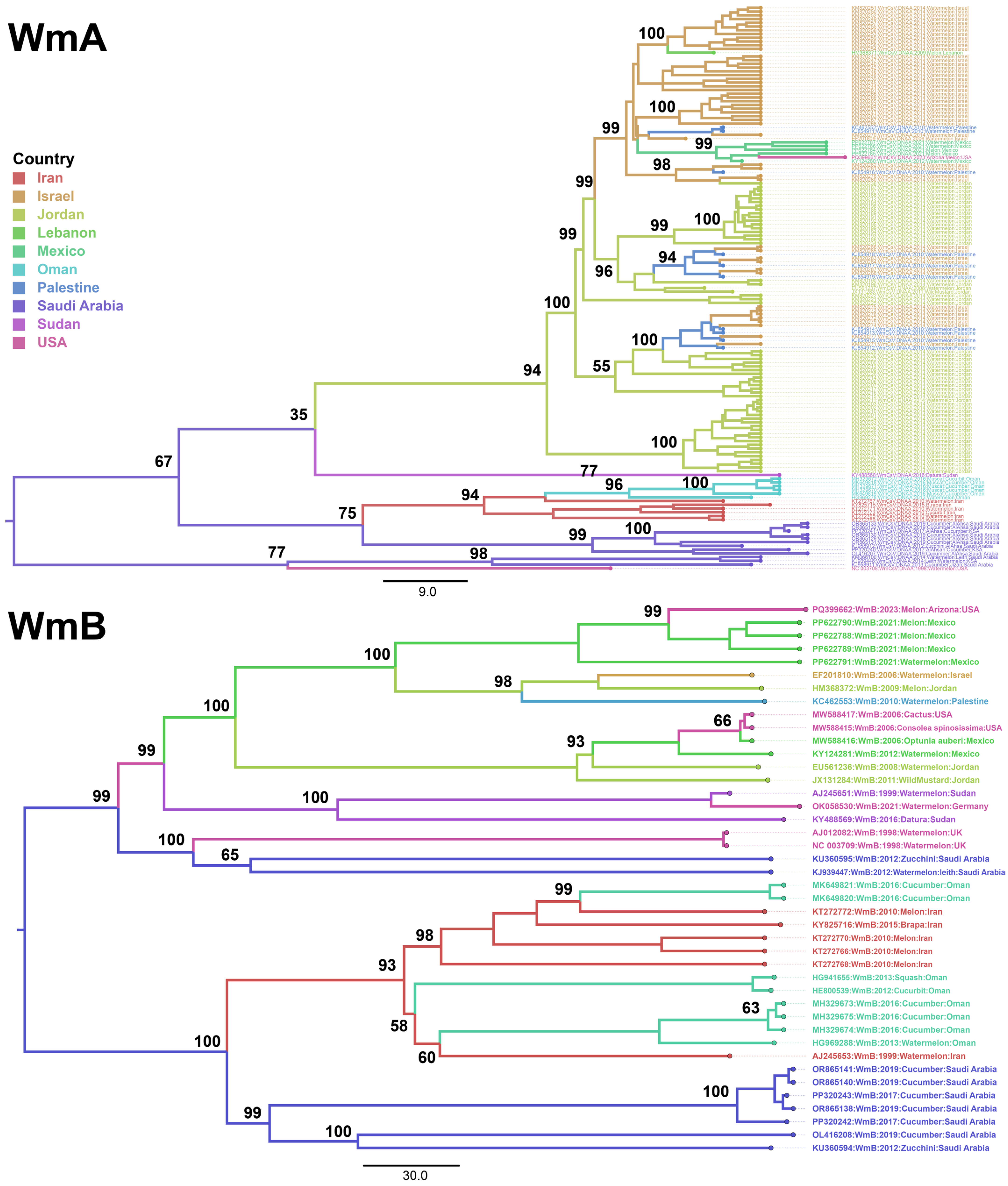Viruses 17 01571 g003 Viruses 17 01571 g003