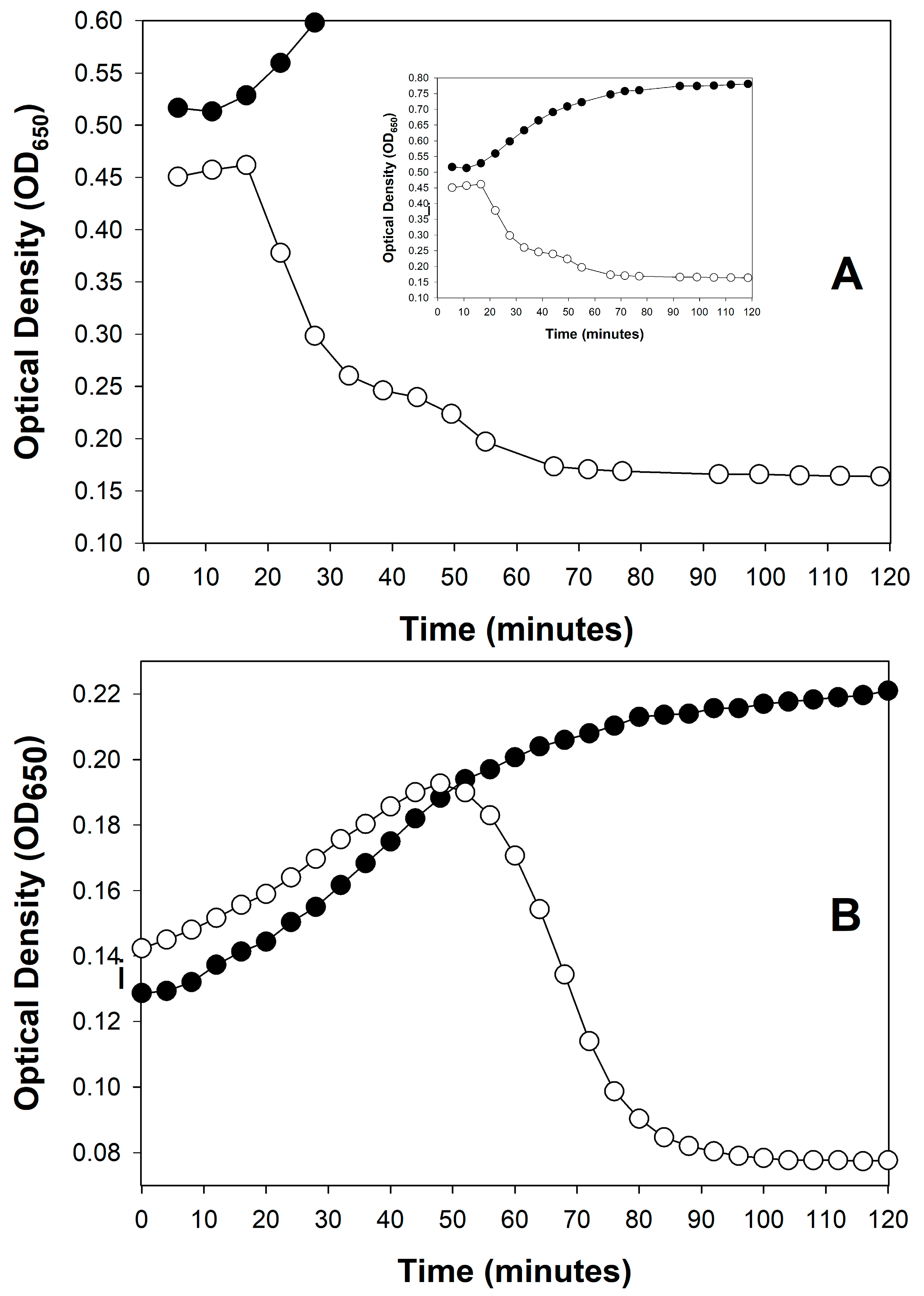 Viruses 17 01573 g001