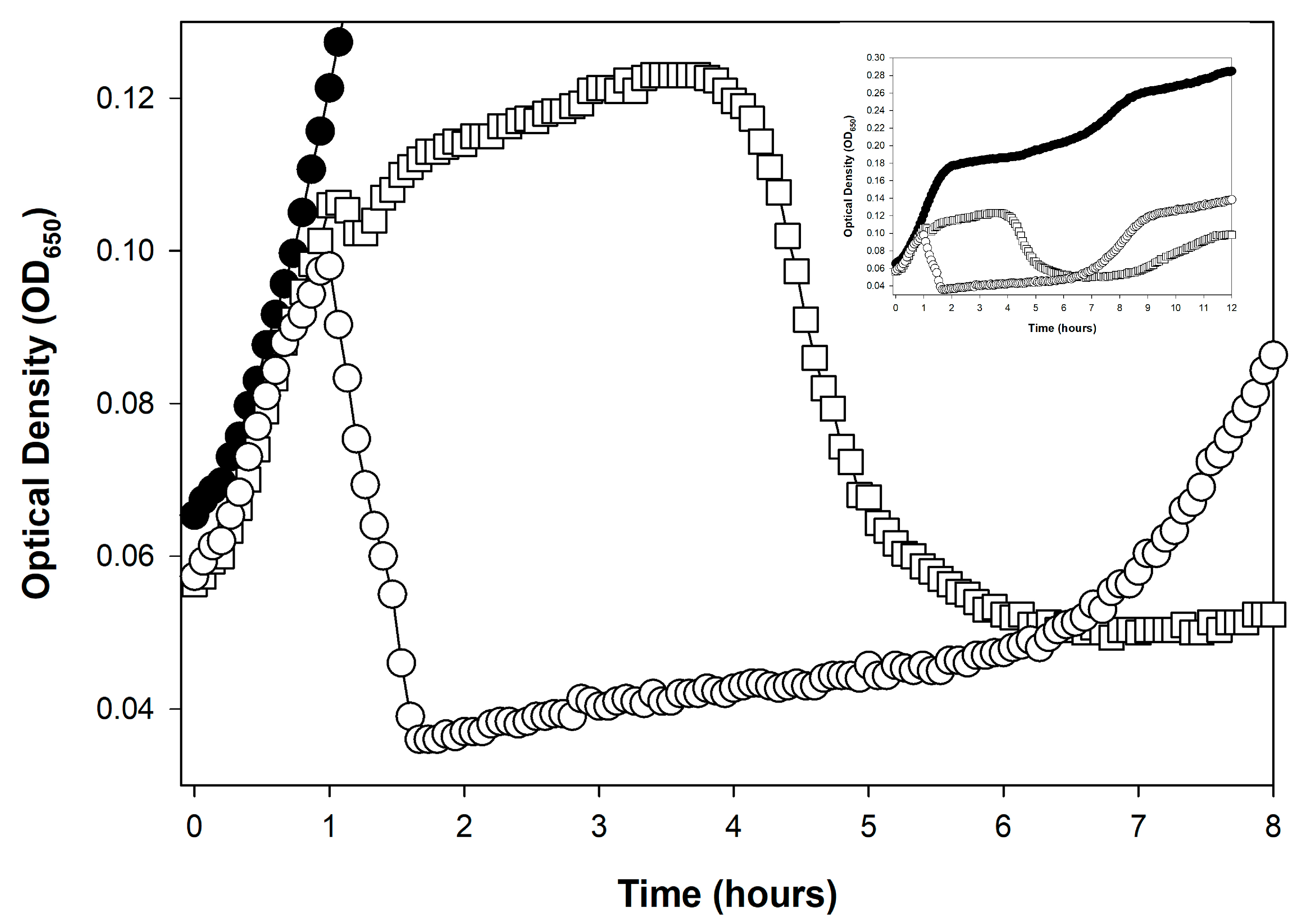 Viruses 17 01573 g002
