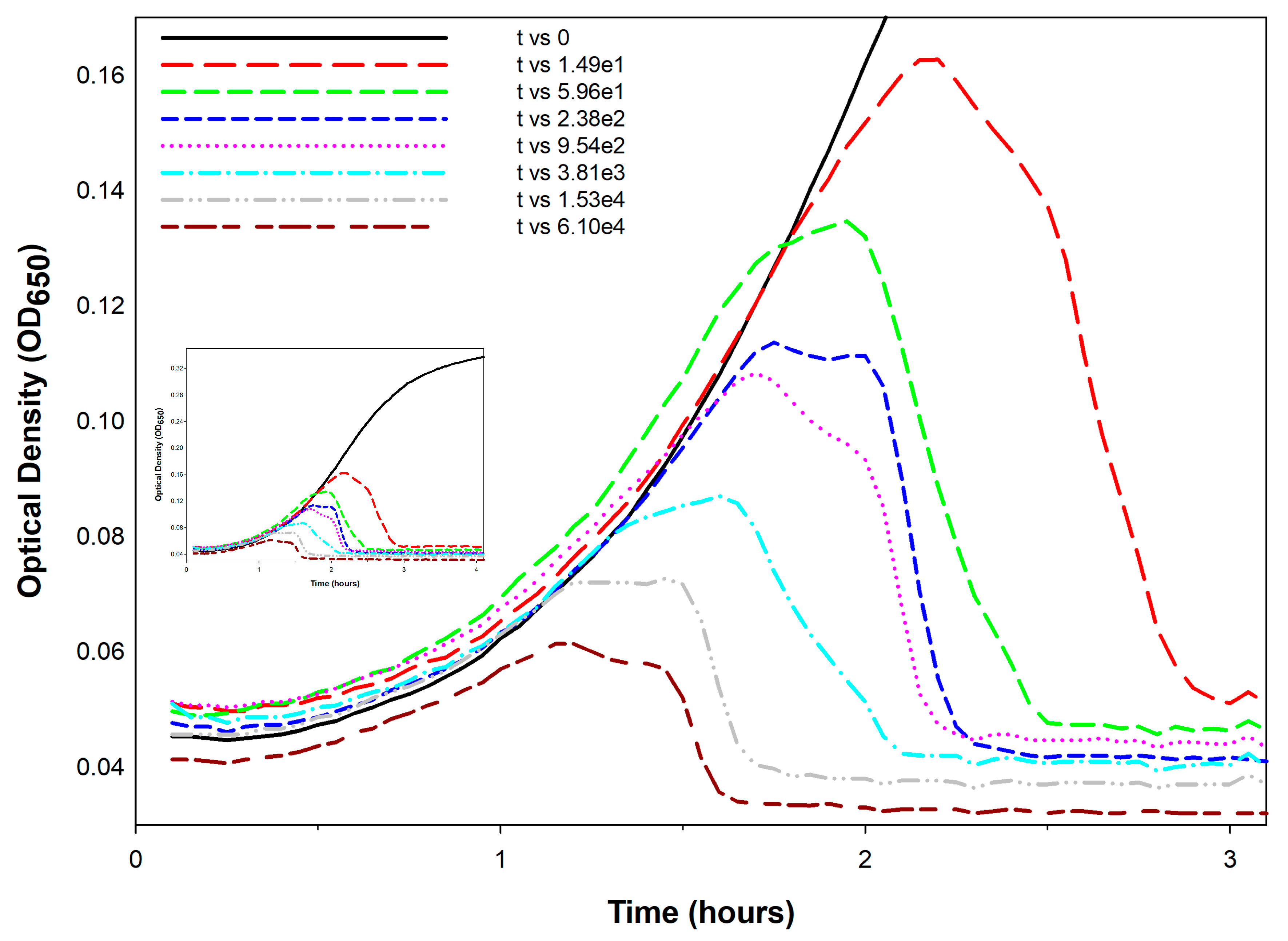 Viruses 17 01573 g003