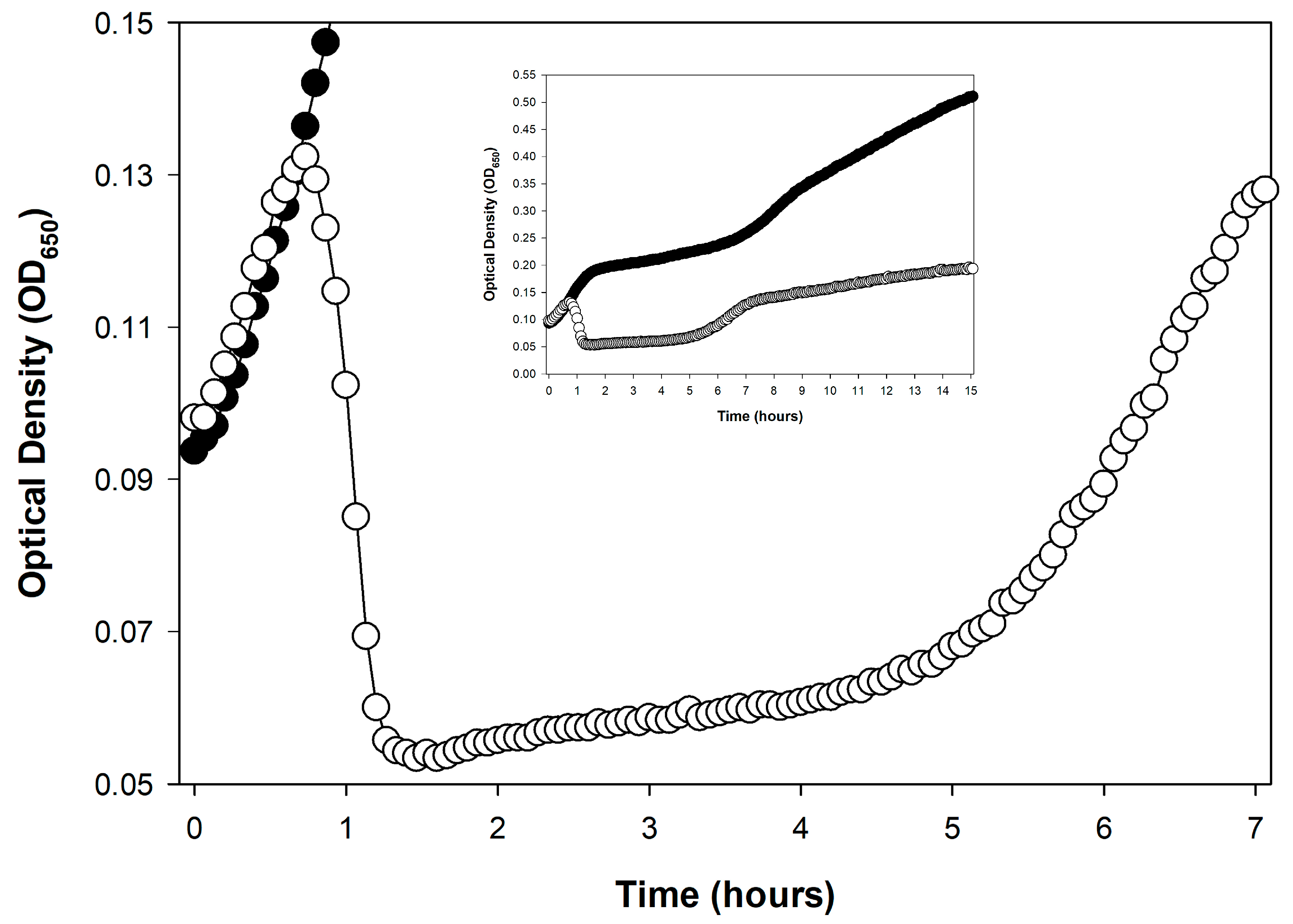 Viruses 17 01573 g005