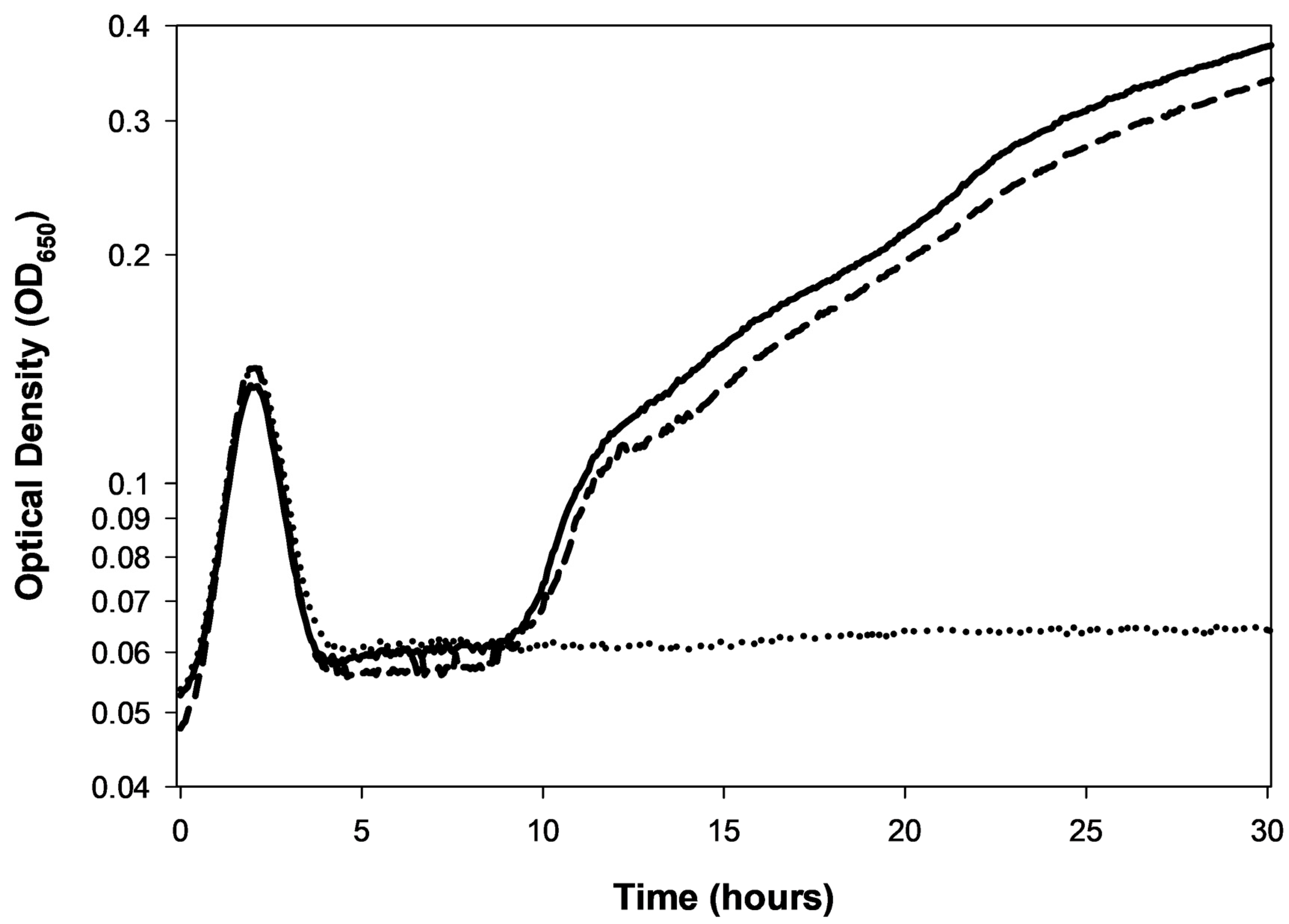 Viruses 17 01573 g006