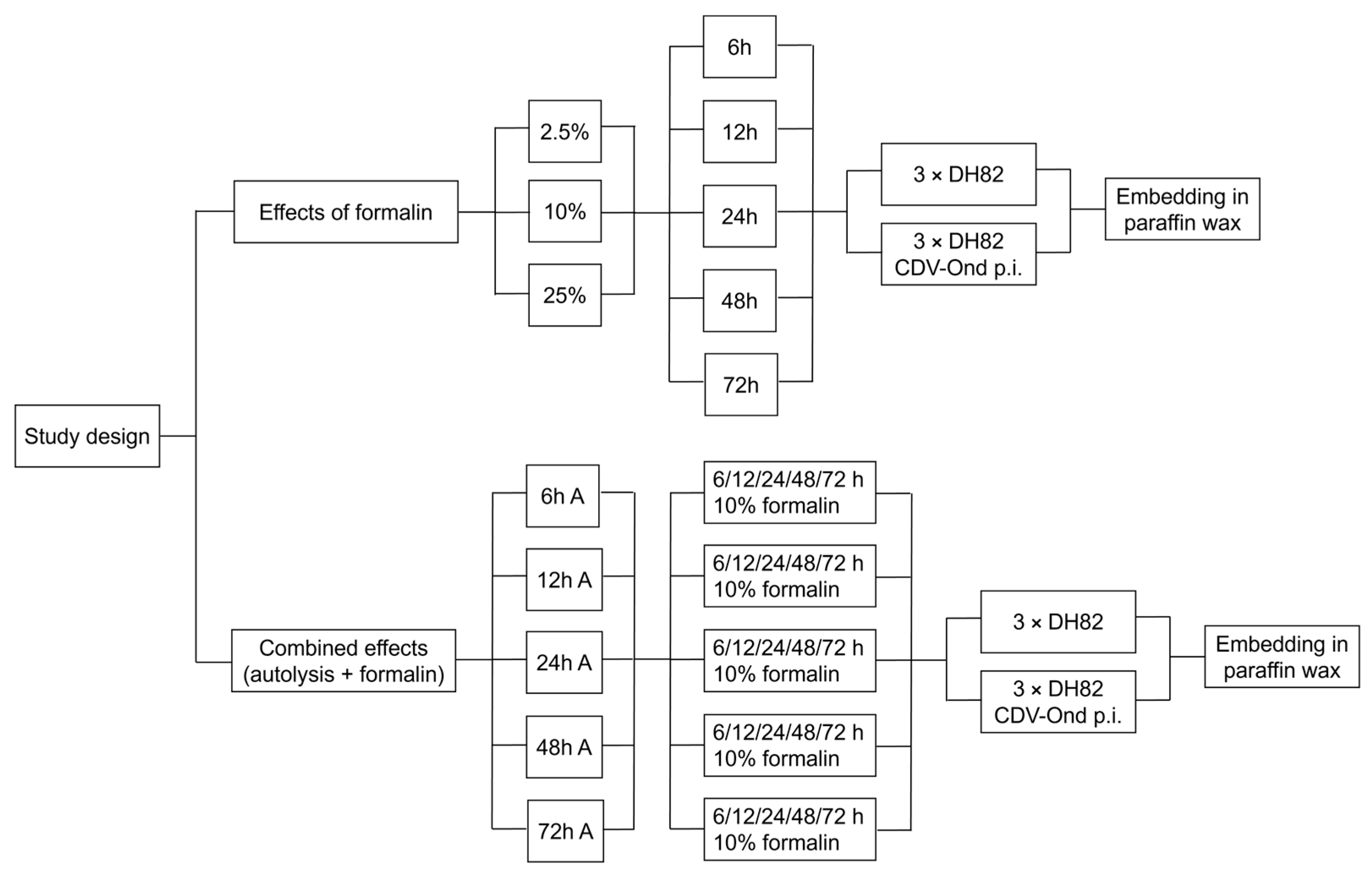 Viruses 17 01575 g001 Viruses 17 01575 g001