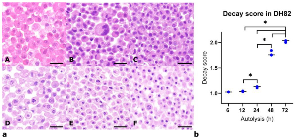 Viruses 17 01575 g002 Viruses 17 01575 g002