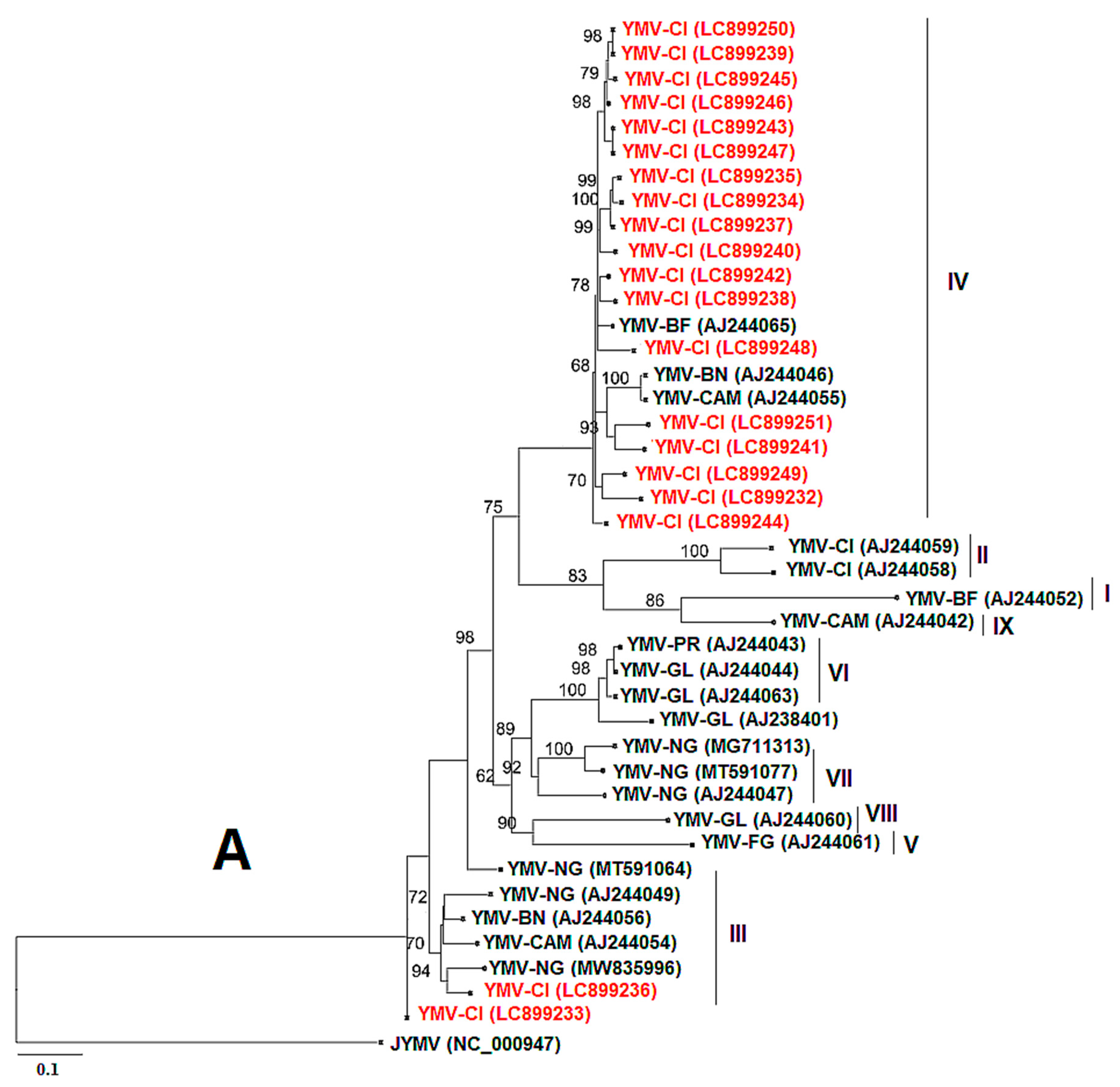 Viruses 17 01586 g008a