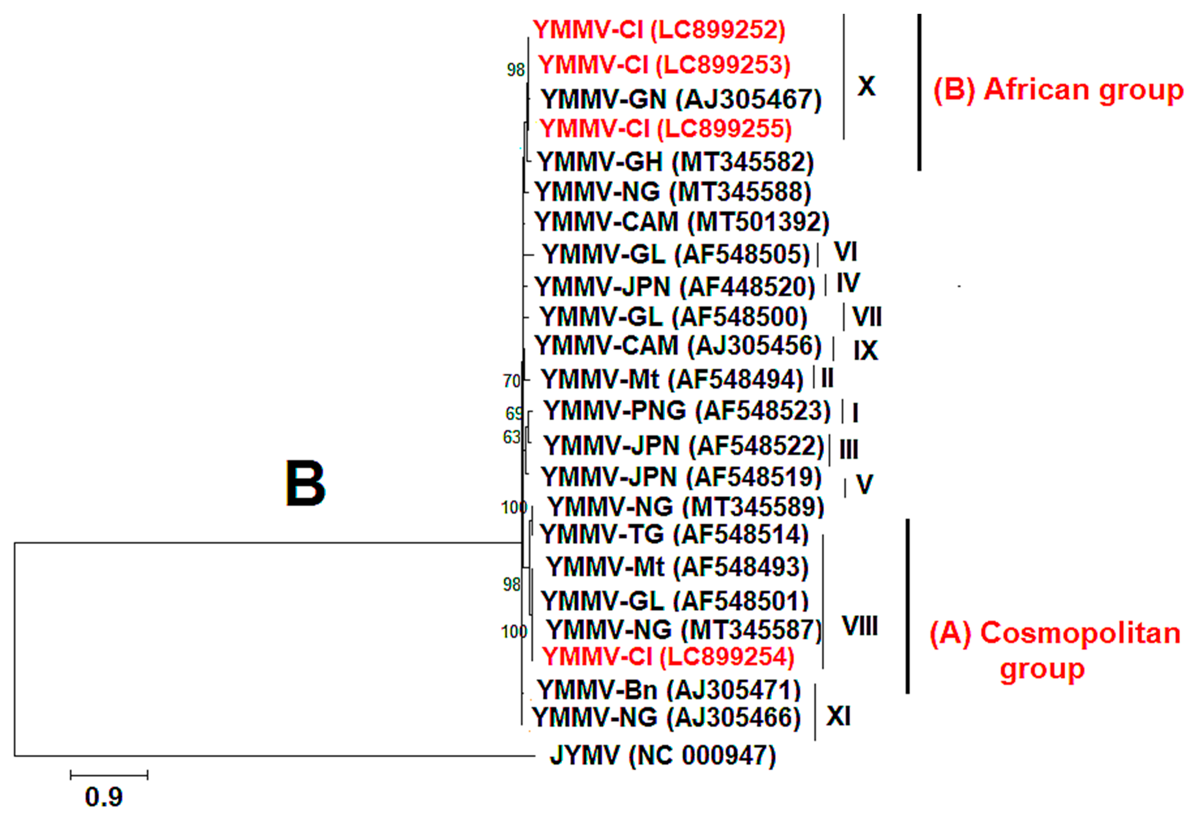 Viruses 17 01586 g008b