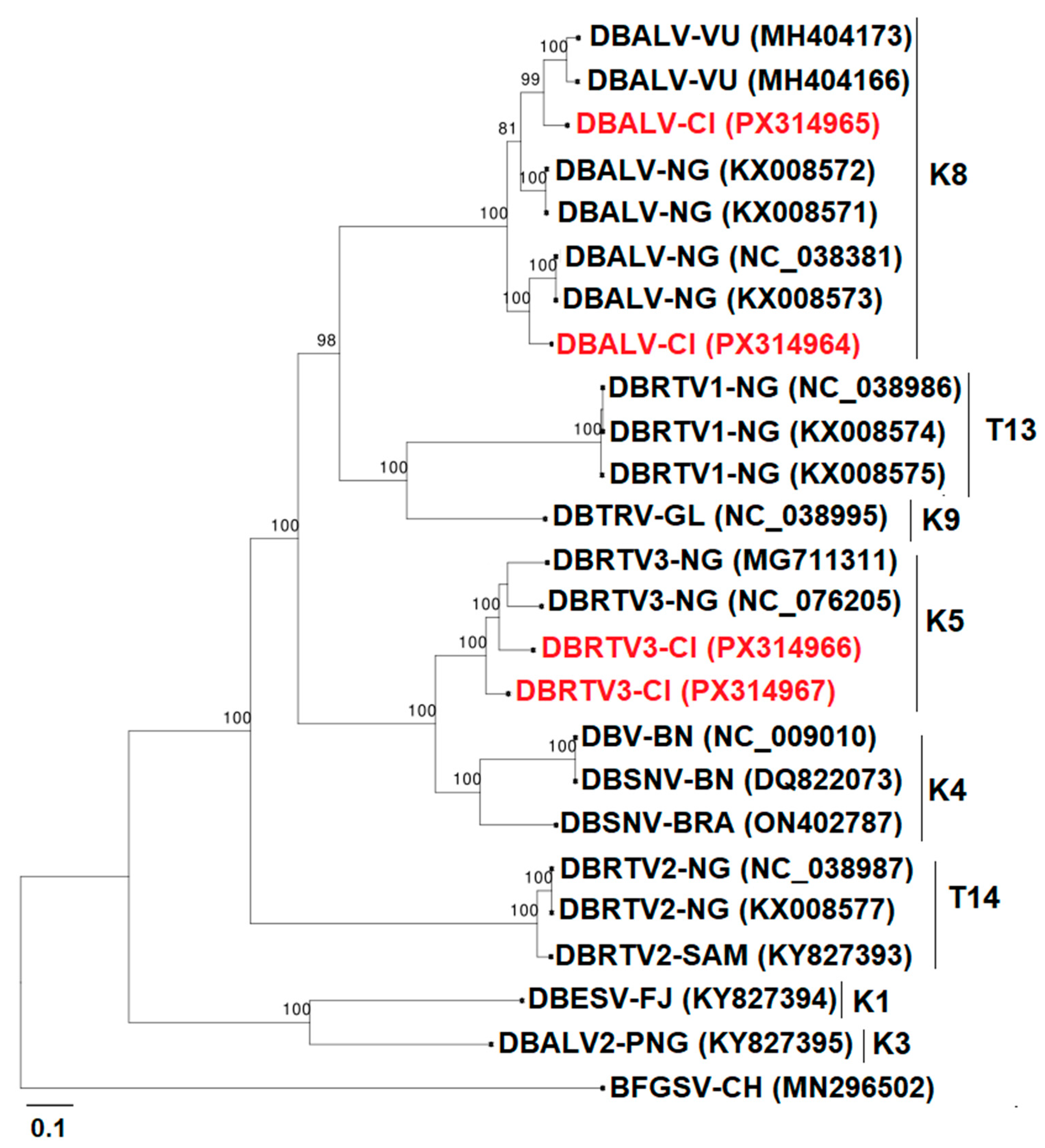 Viruses 17 01586 g009