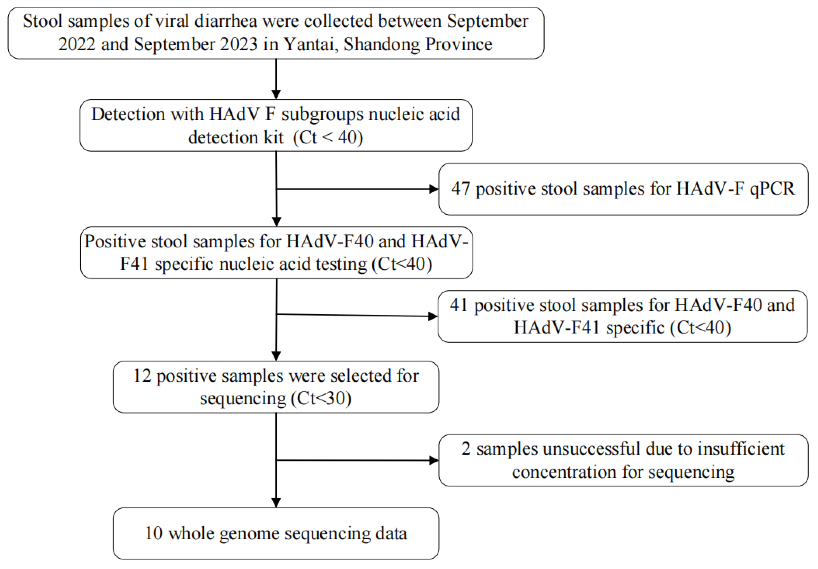 Viruses 17 01595 g001