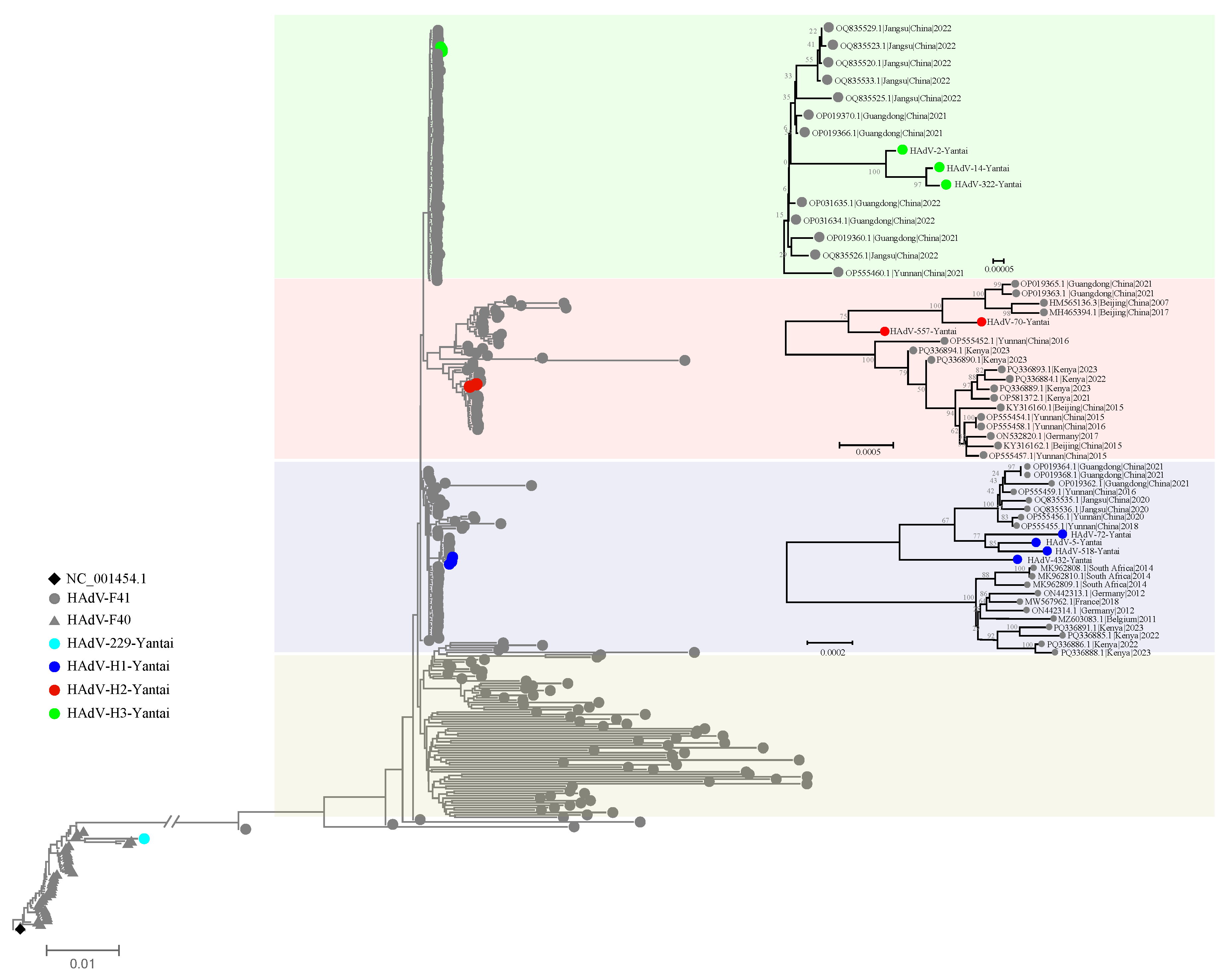 Viruses 17 01595 g003