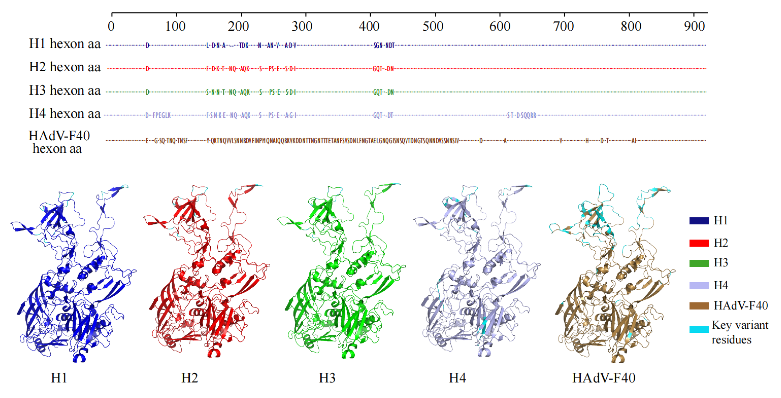 Viruses 17 01595 g005