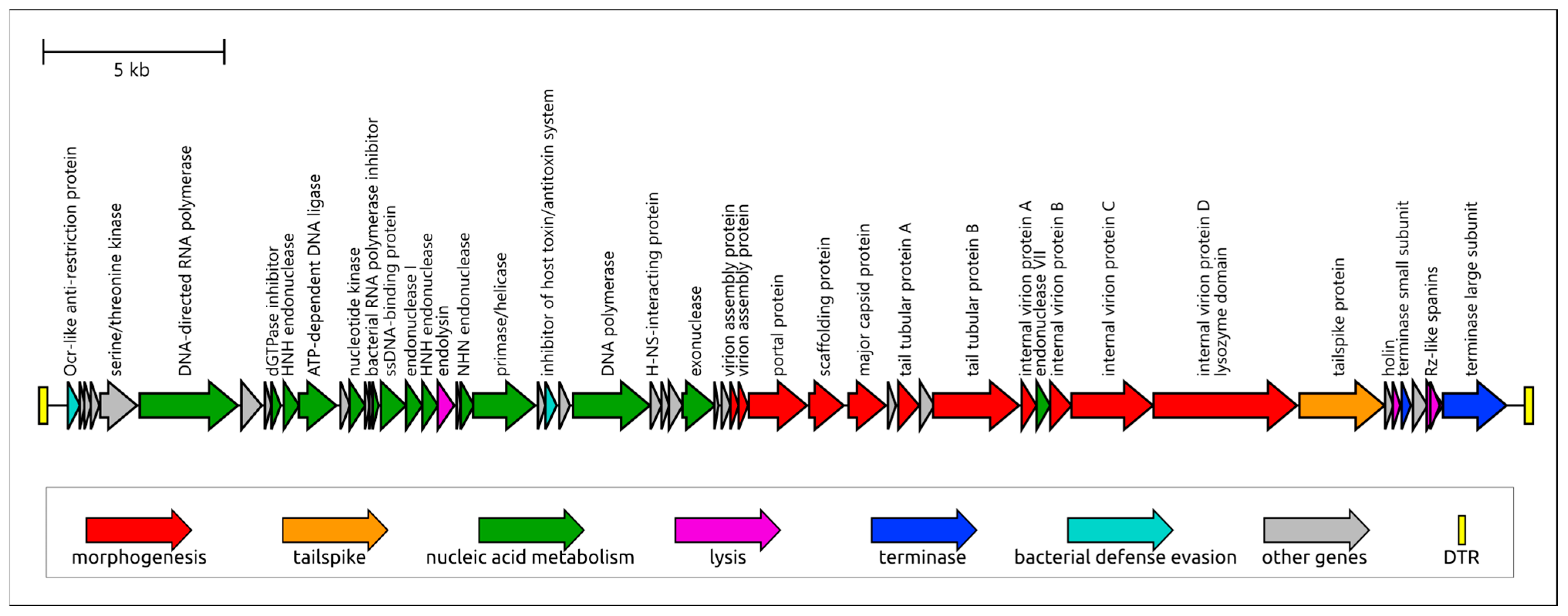 Viruses 17 01600 g003