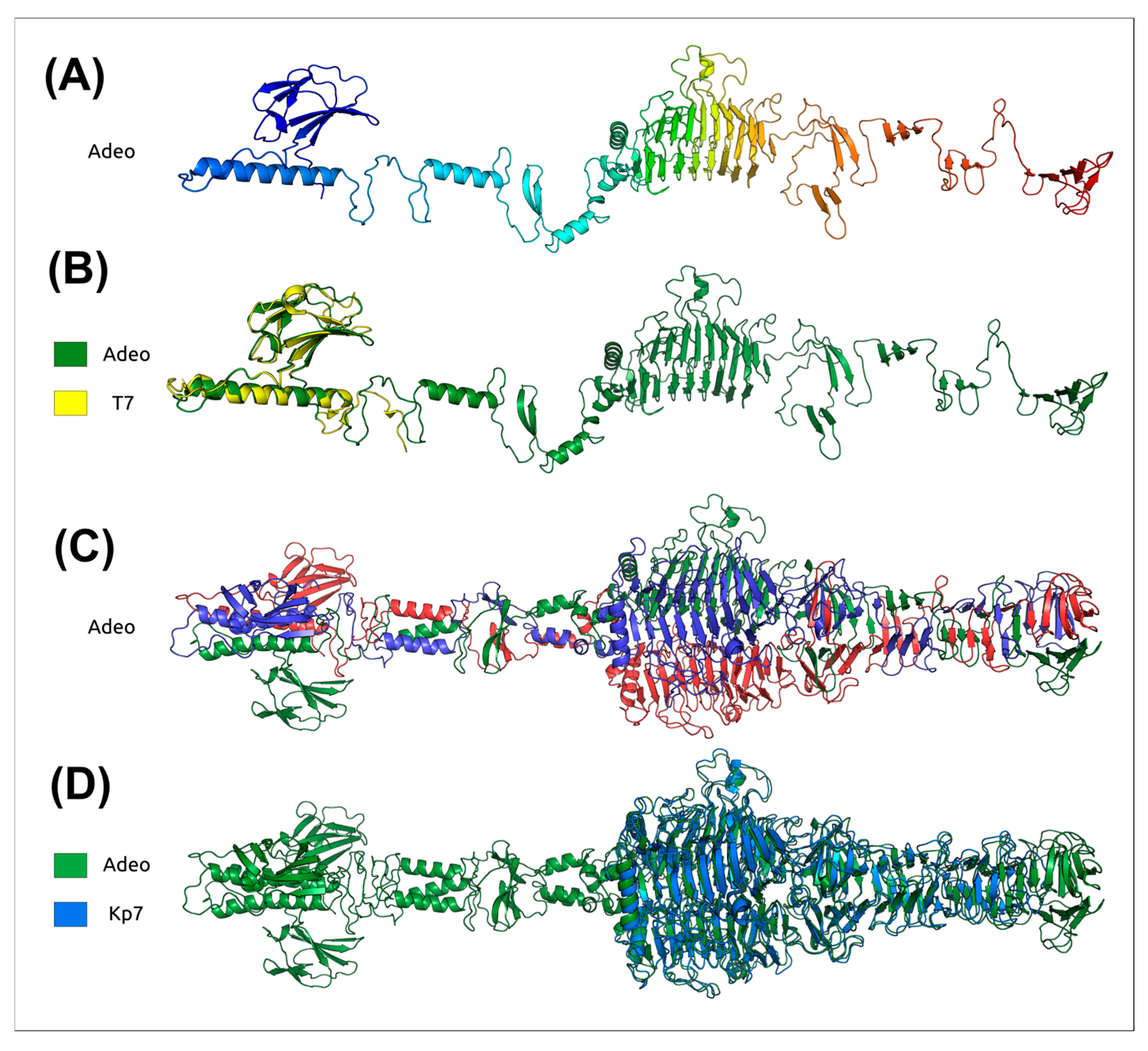 Viruses 17 01600 g007