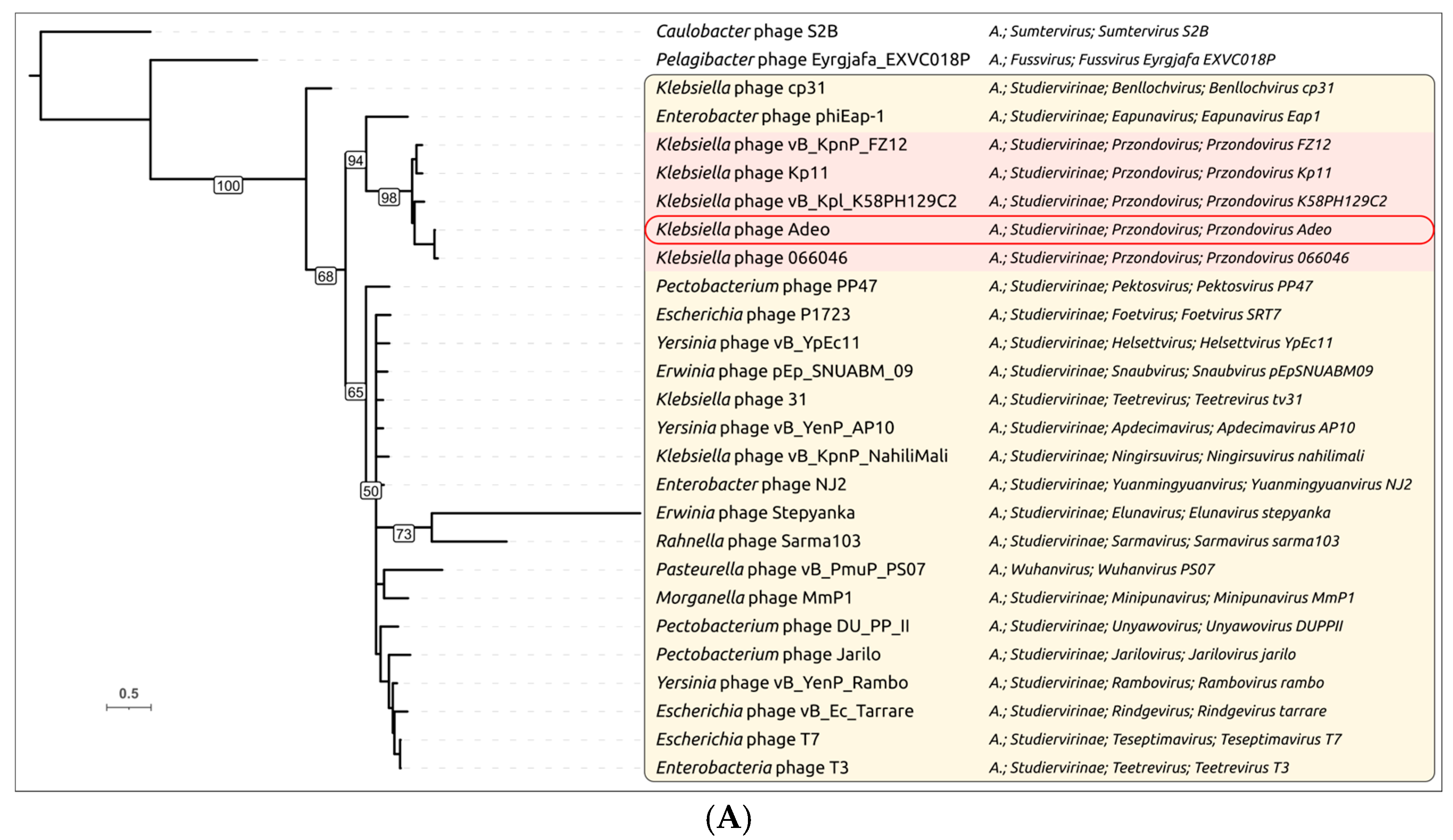 Viruses 17 01600 g008a