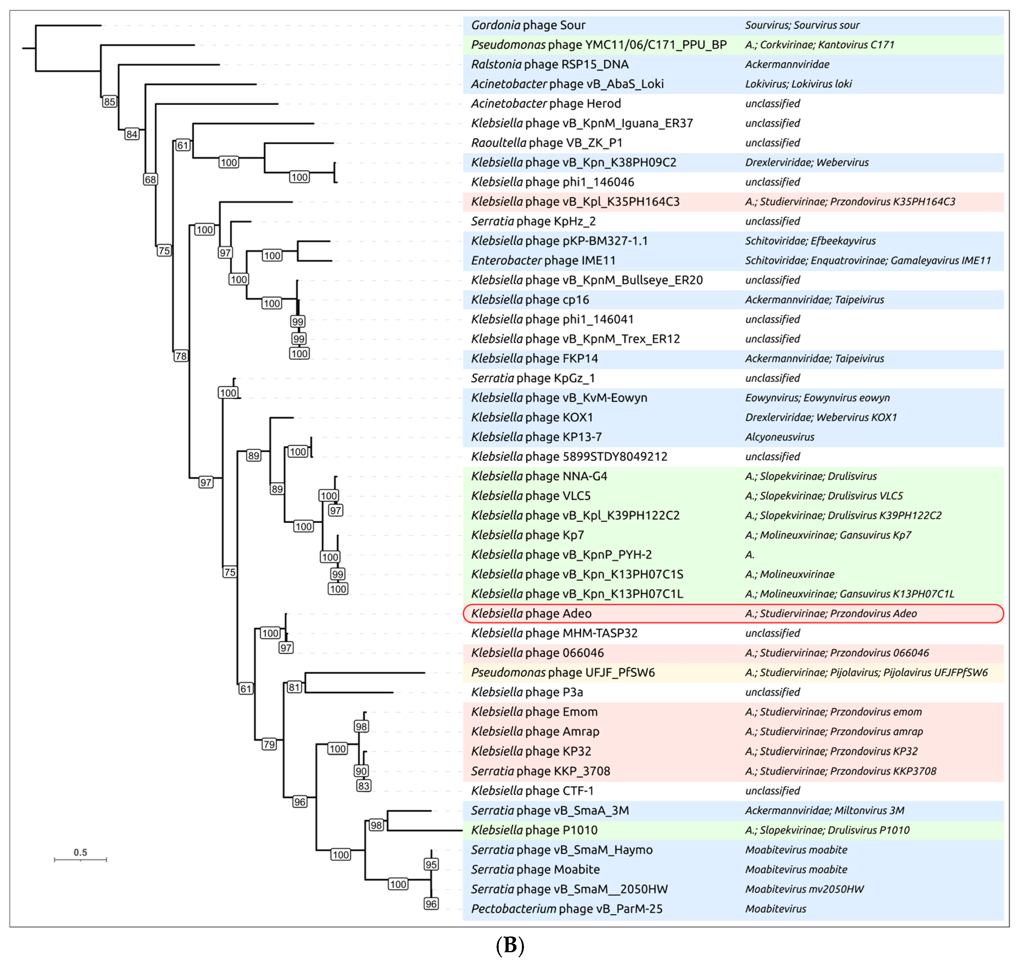 Viruses 17 01600 g008b
