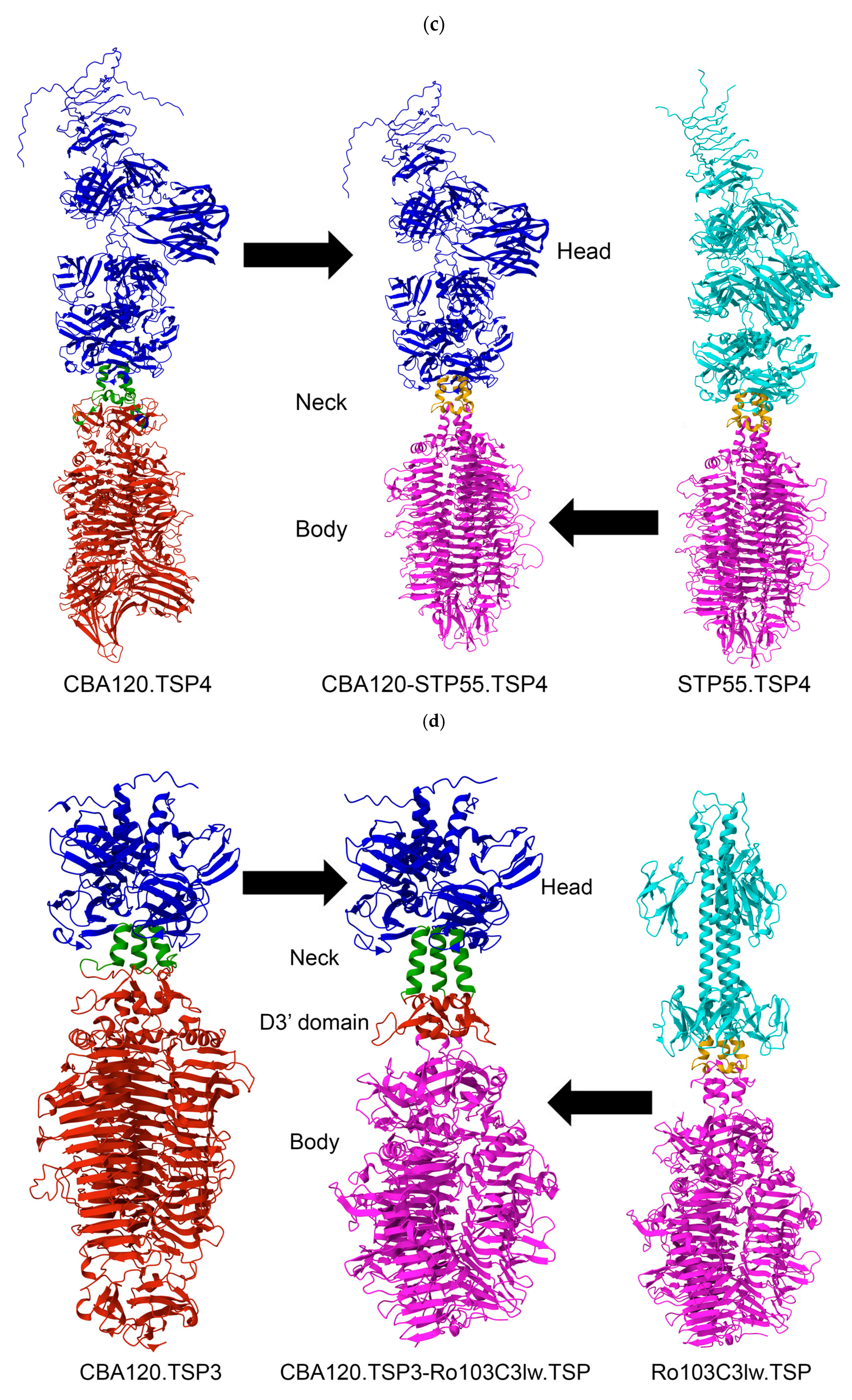Viruses 17 01614 g001b Viruses 17 01614 g001b