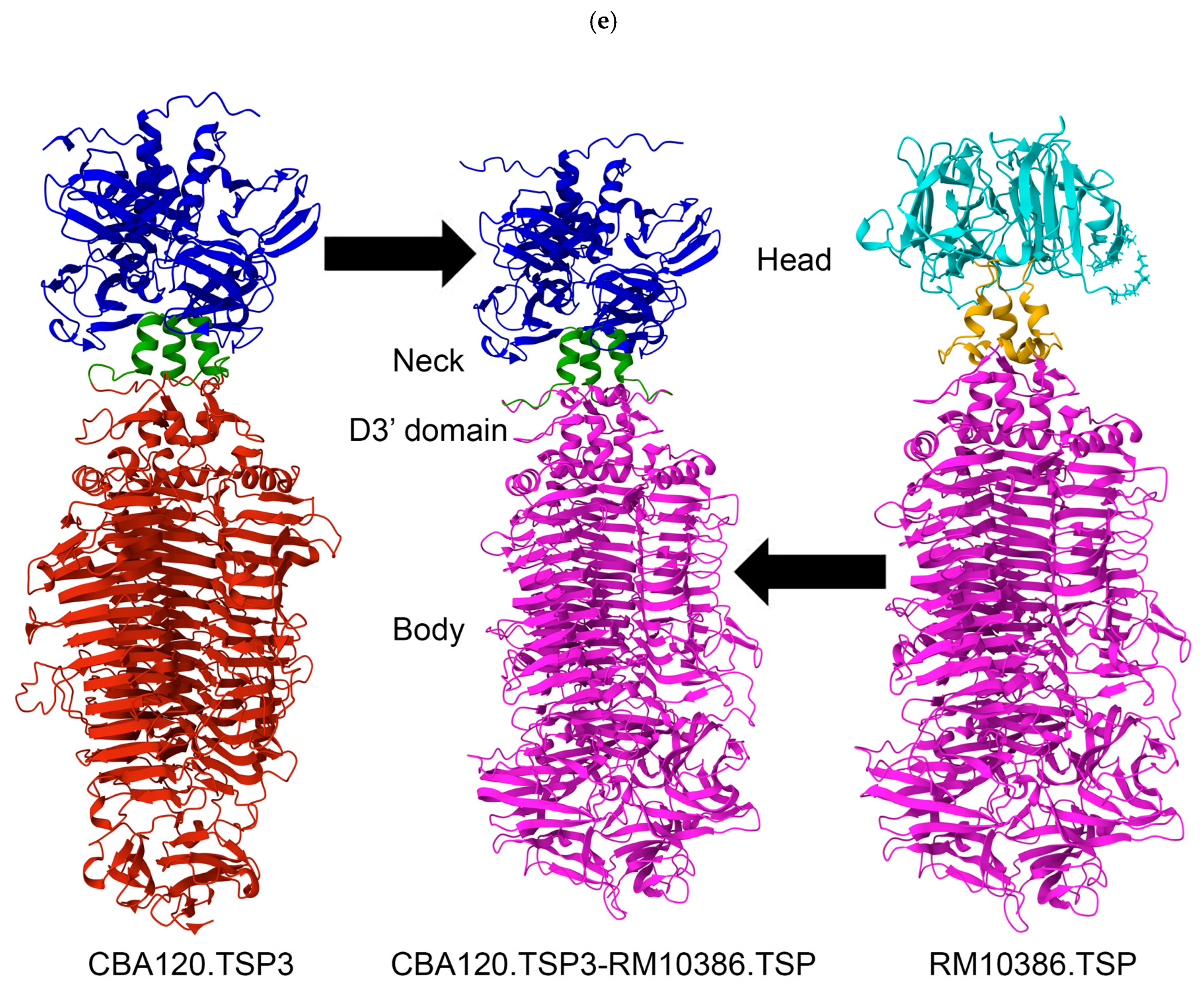 Viruses 17 01614 g001c Viruses 17 01614 g001c