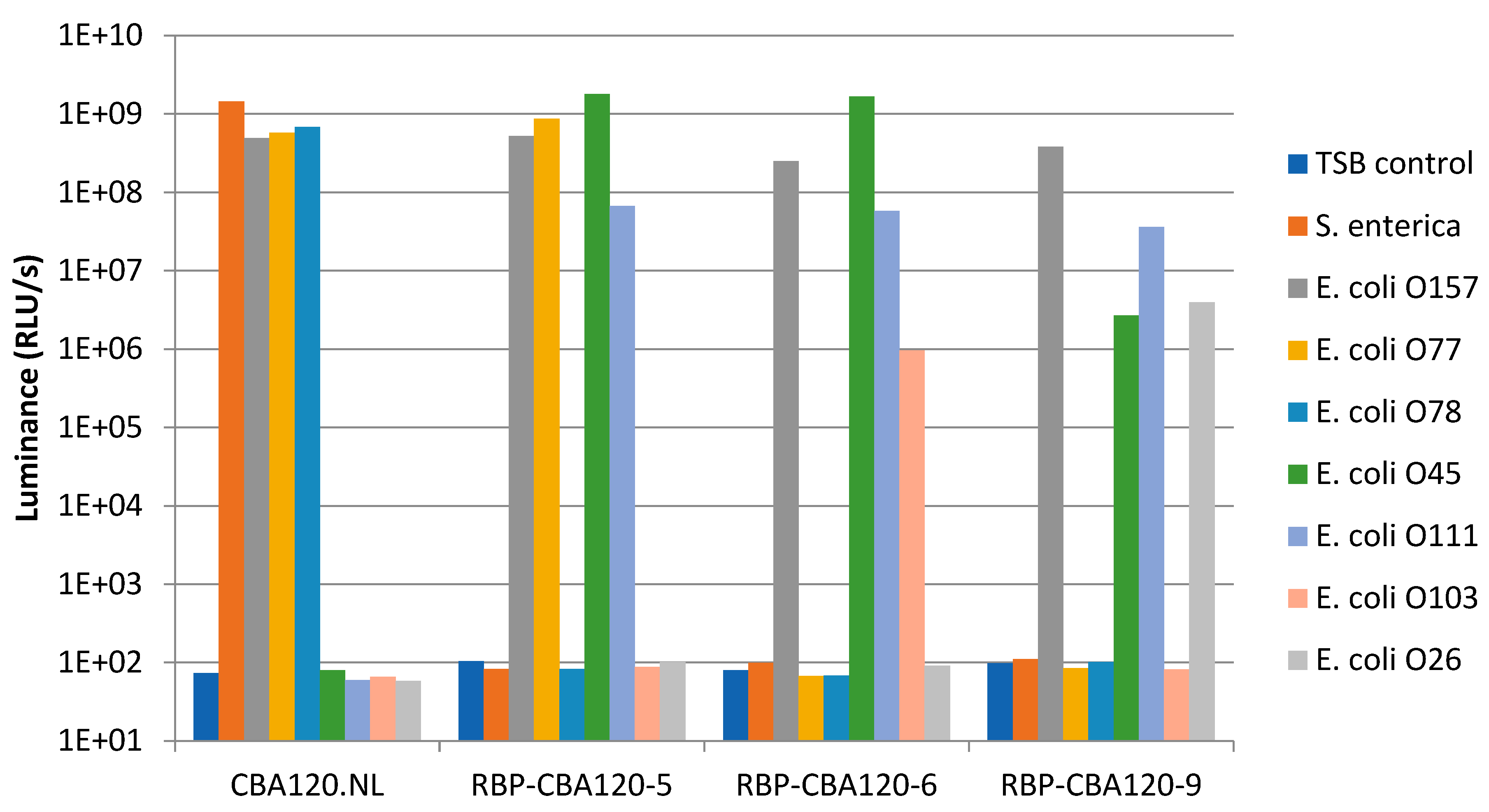 Viruses 17 01614 g002 Viruses 17 01614 g002