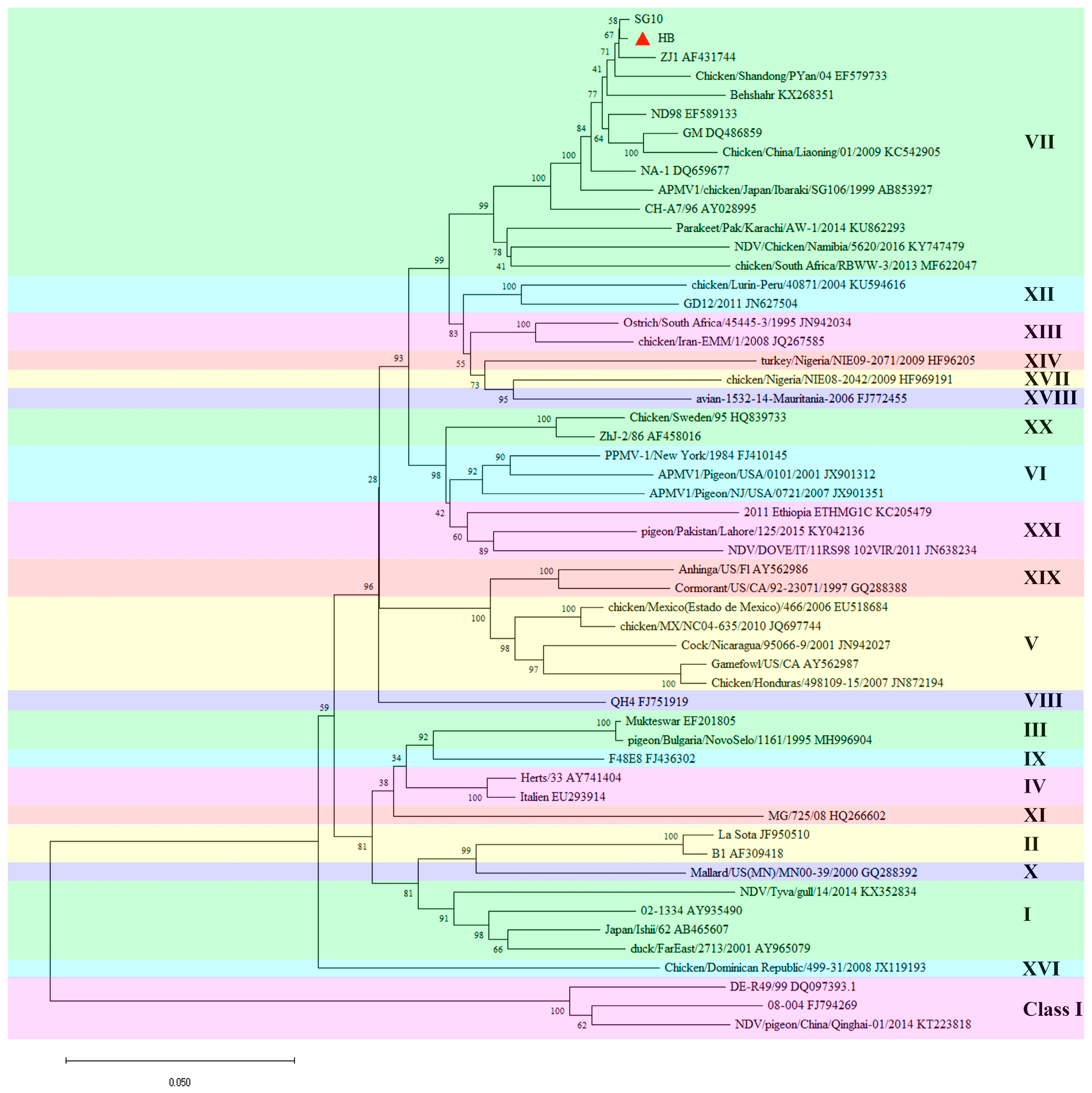 Viruses 17 01618 g002 Viruses 17 01618 g002