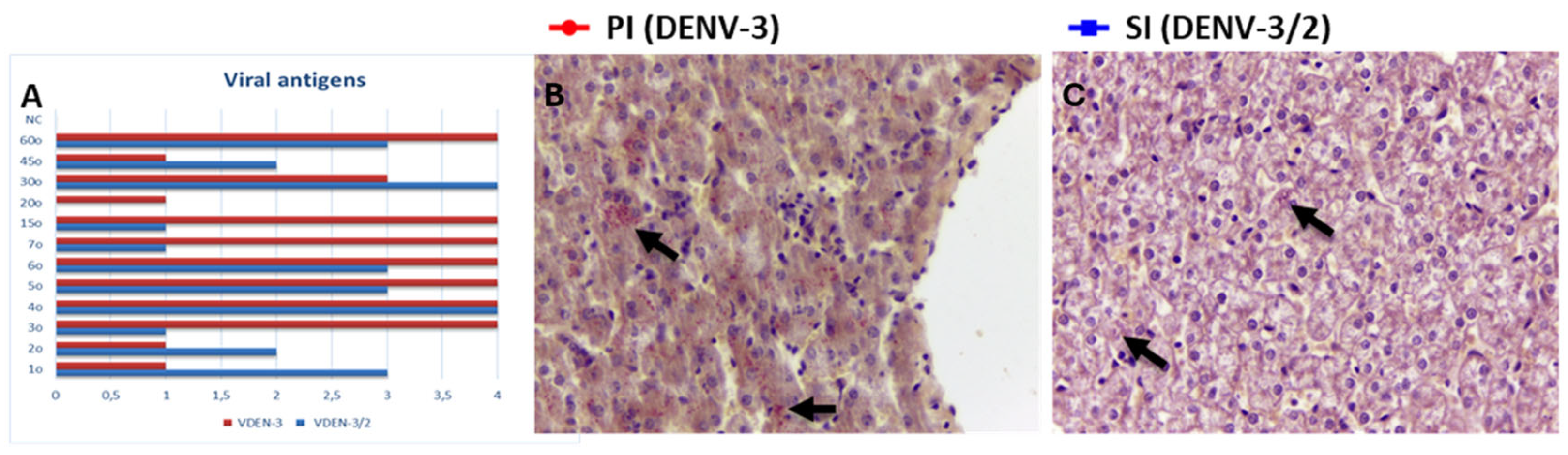 Viruses 17 01619 g001 Viruses 17 01619 g001