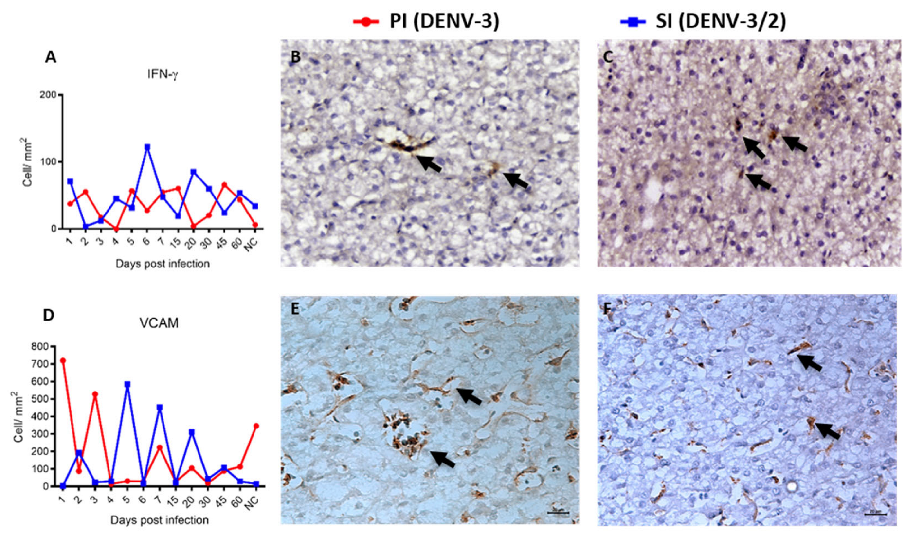 Viruses 17 01619 g007 Viruses 17 01619 g007