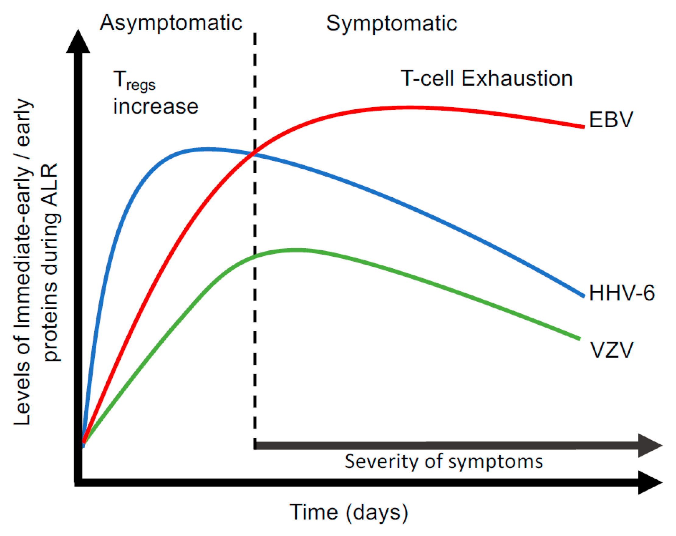 Viruses 17 01624 g001 Viruses 17 01624 g001