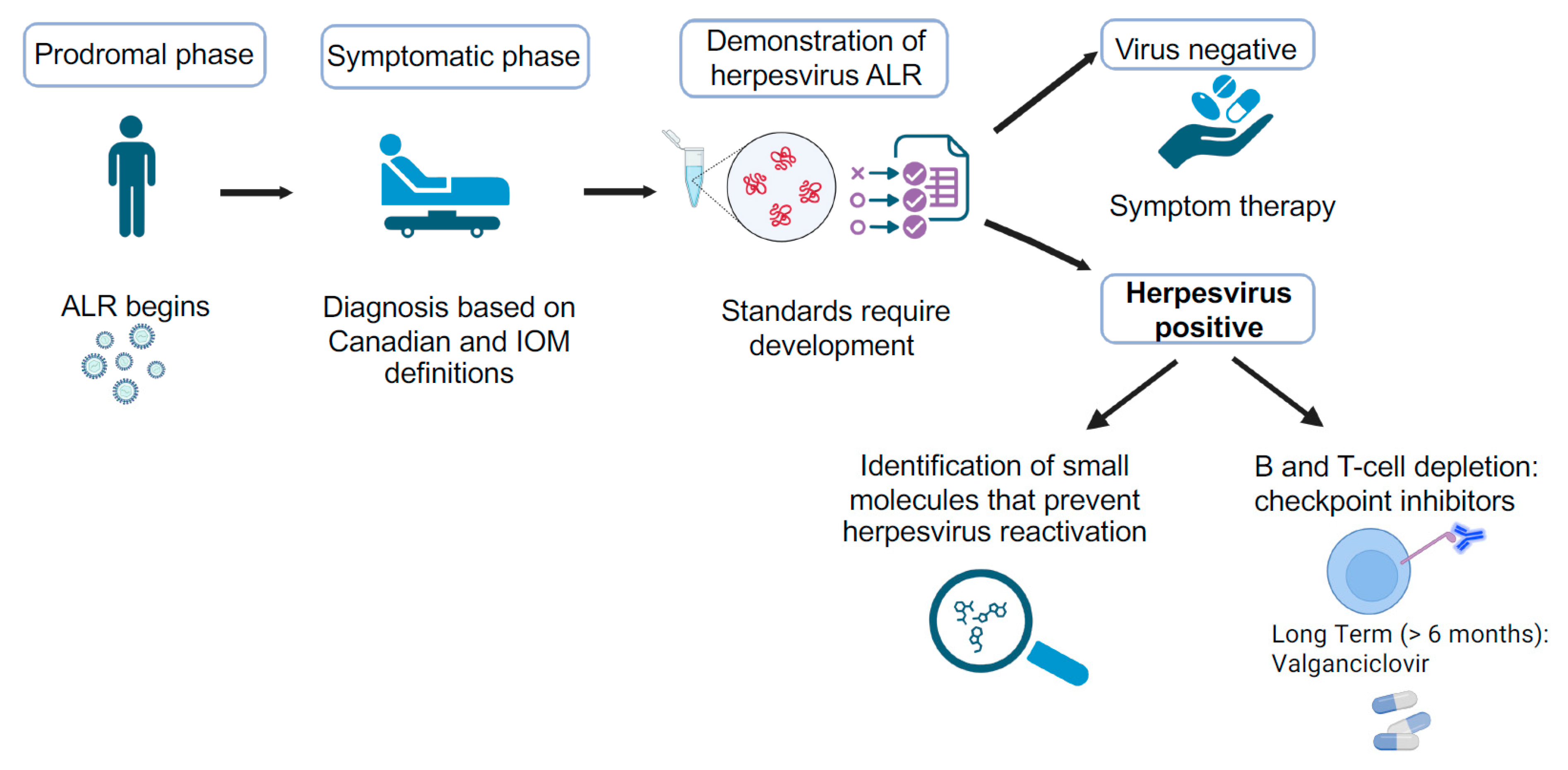 Viruses 17 01624 g002 Viruses 17 01624 g002