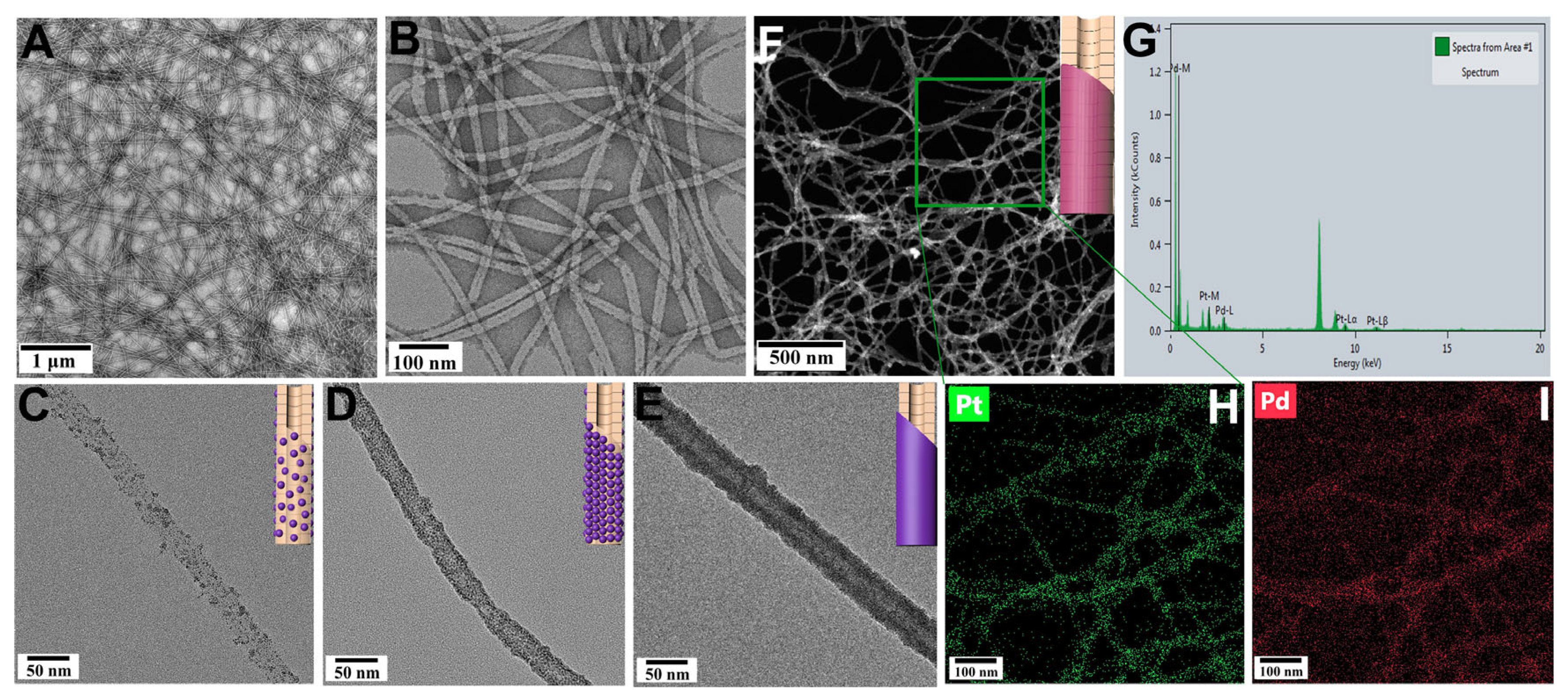 Viruses 17 01627 g001