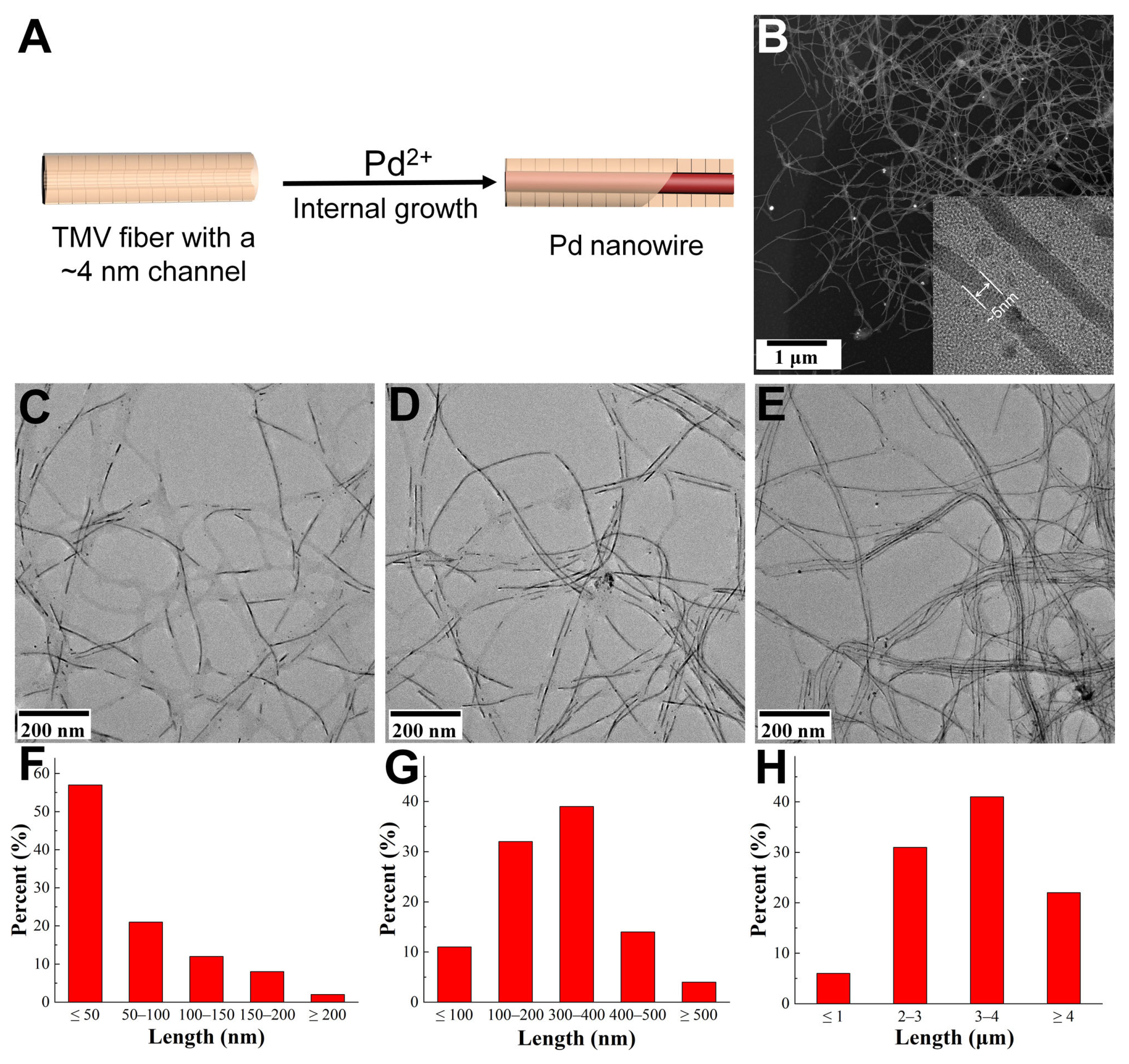 Viruses 17 01627 g002