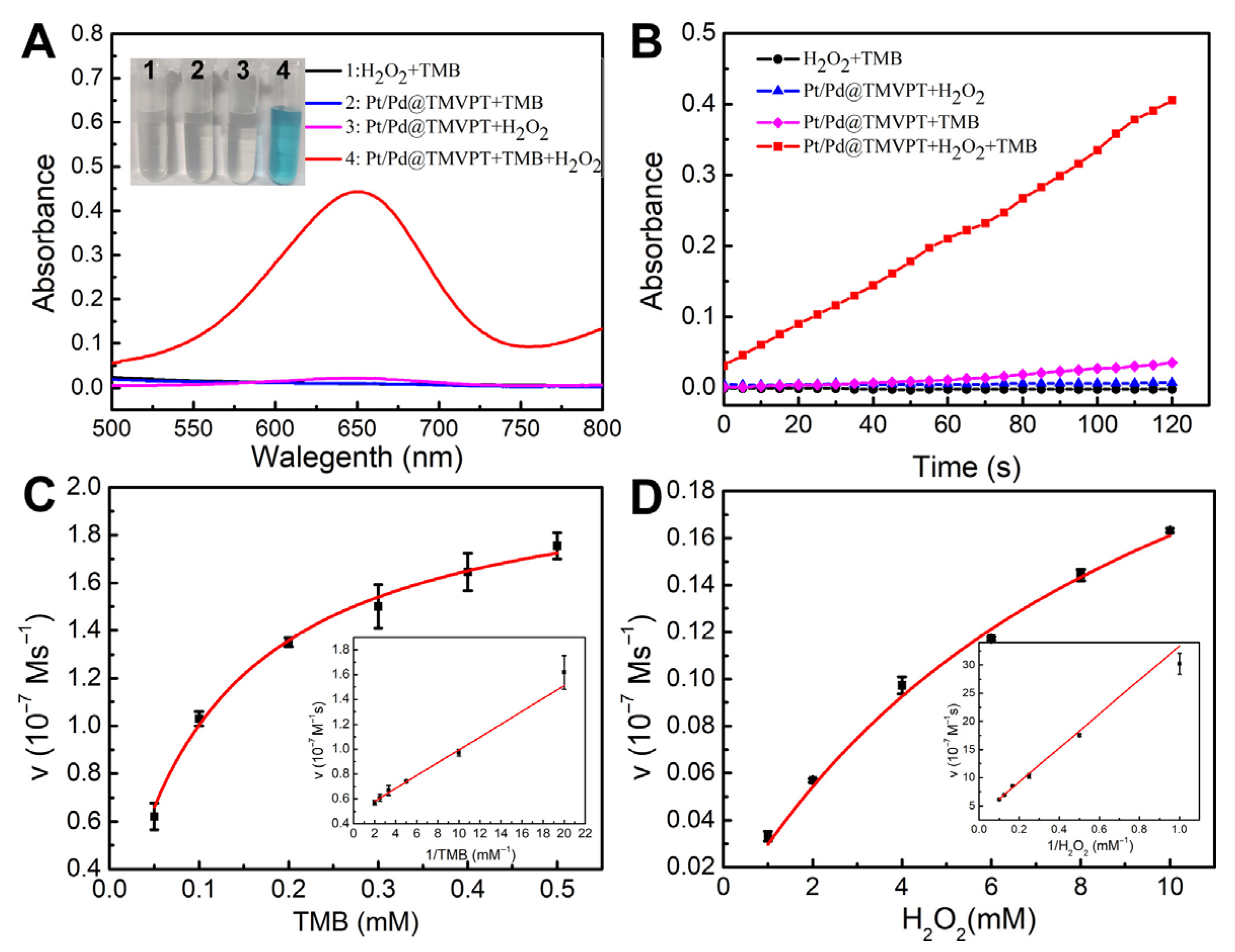 Viruses 17 01627 g004