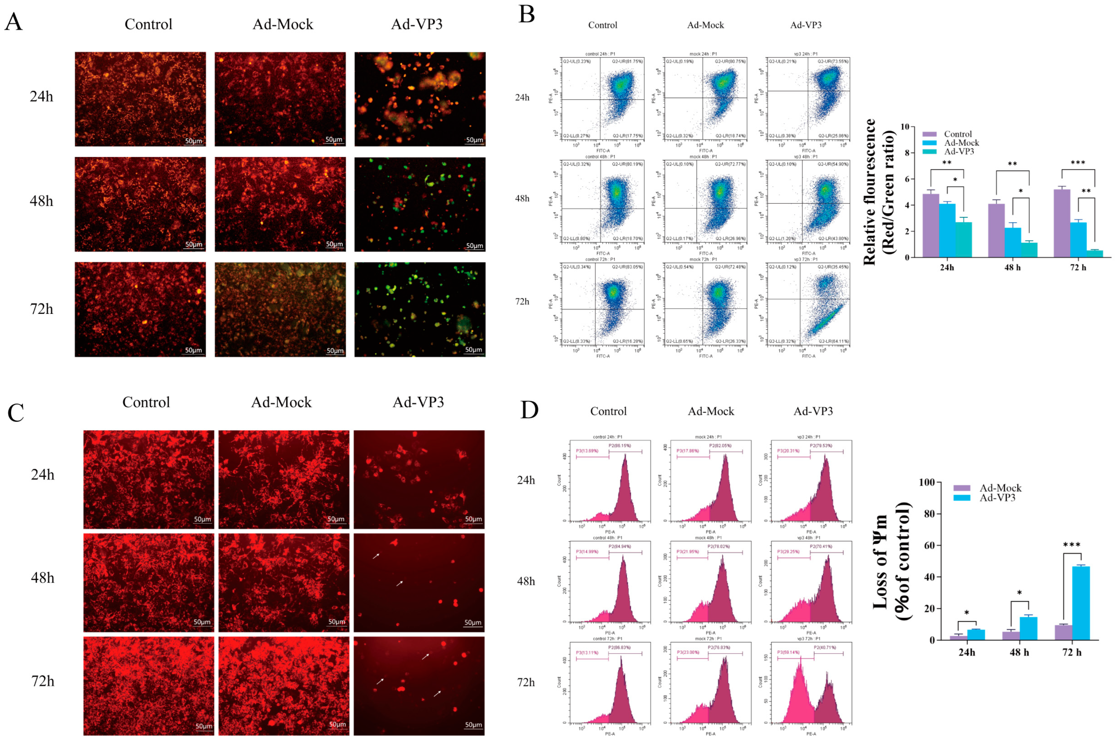 Viruses 17 01636 g005