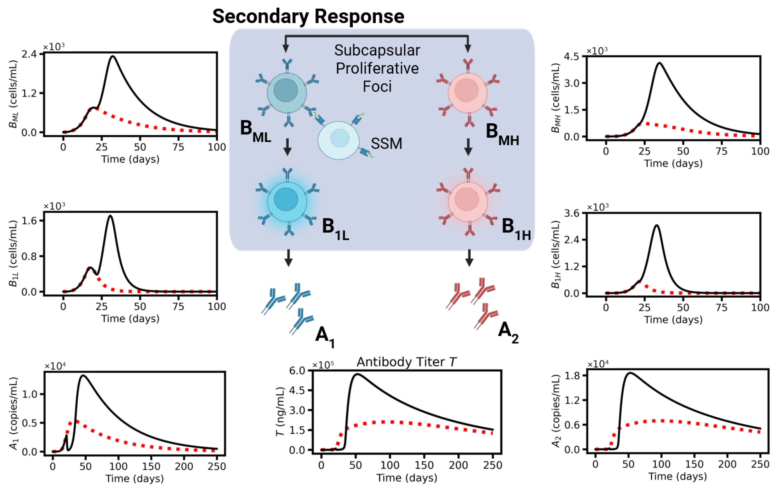 Viruses 17 01643 g005