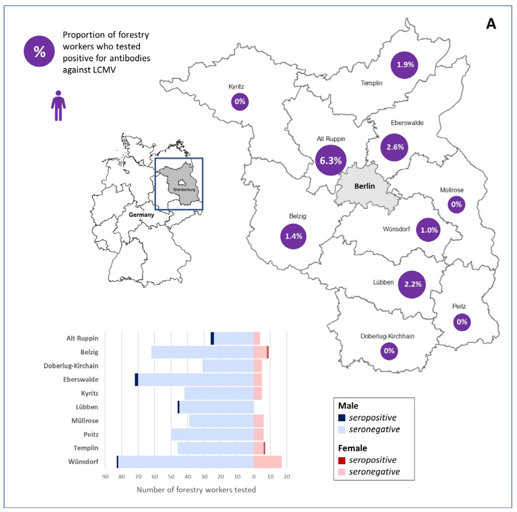 Viruses 18 00004 g001a
