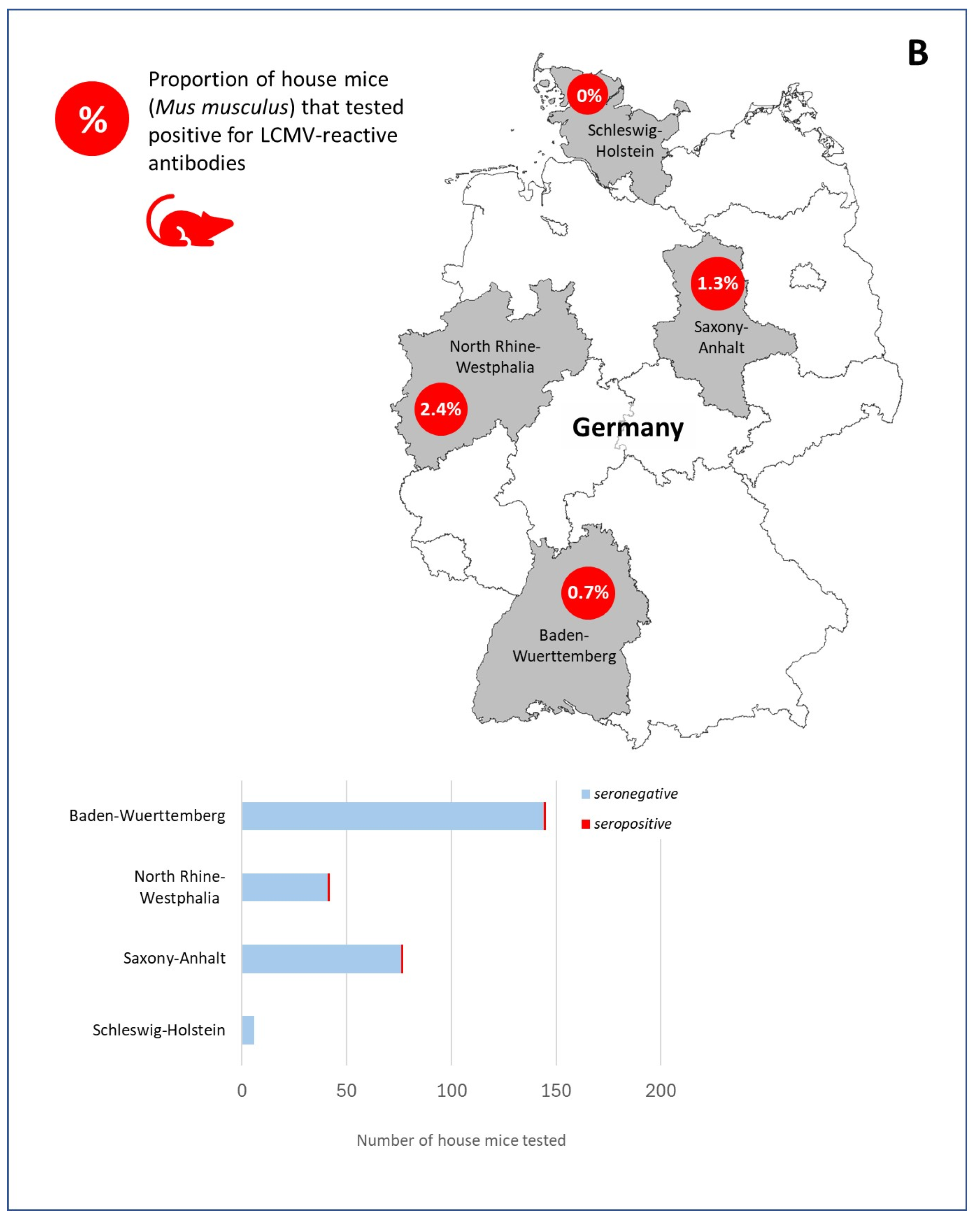 Viruses 18 00004 g001b