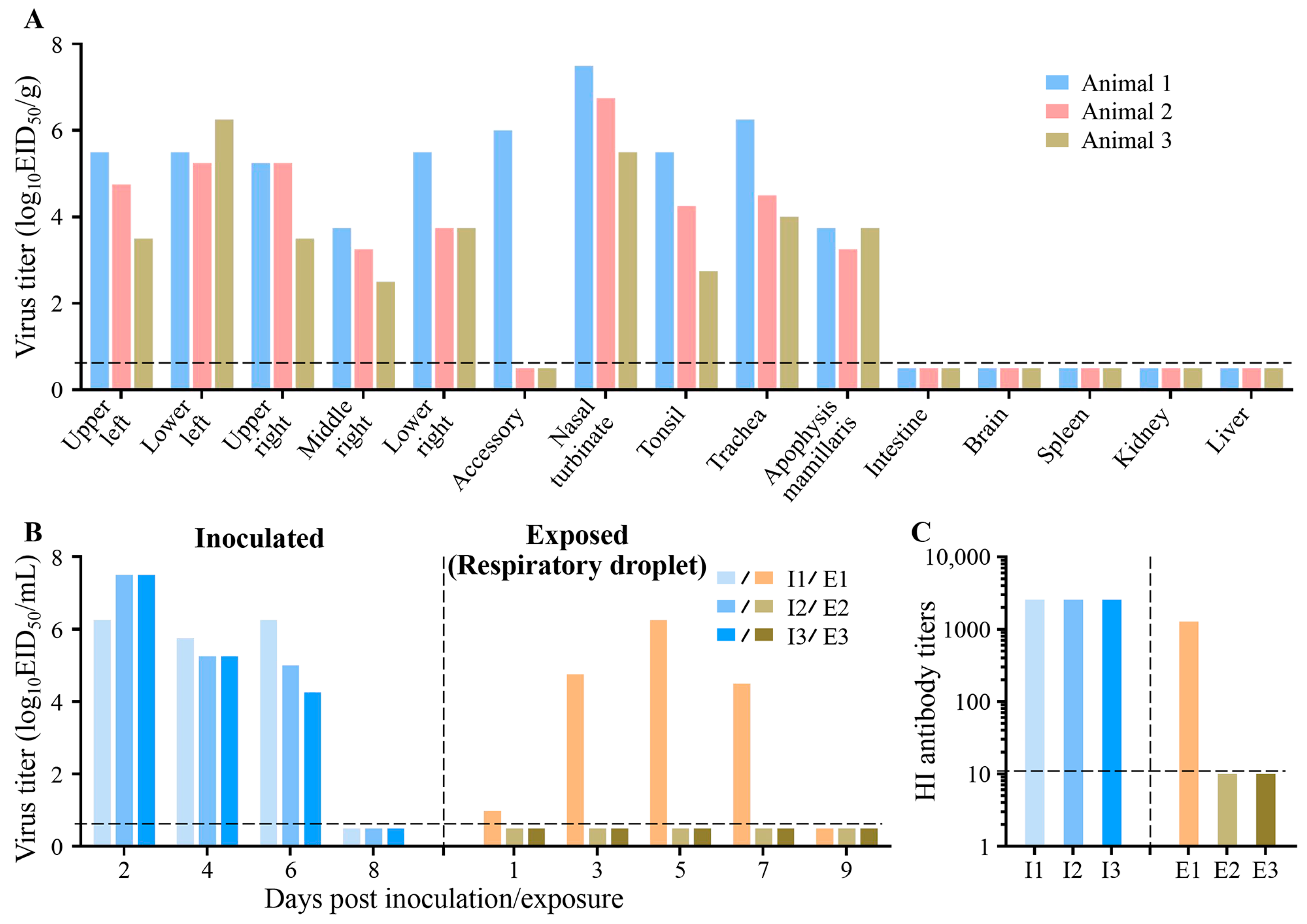 Viruses 18 00009 g003