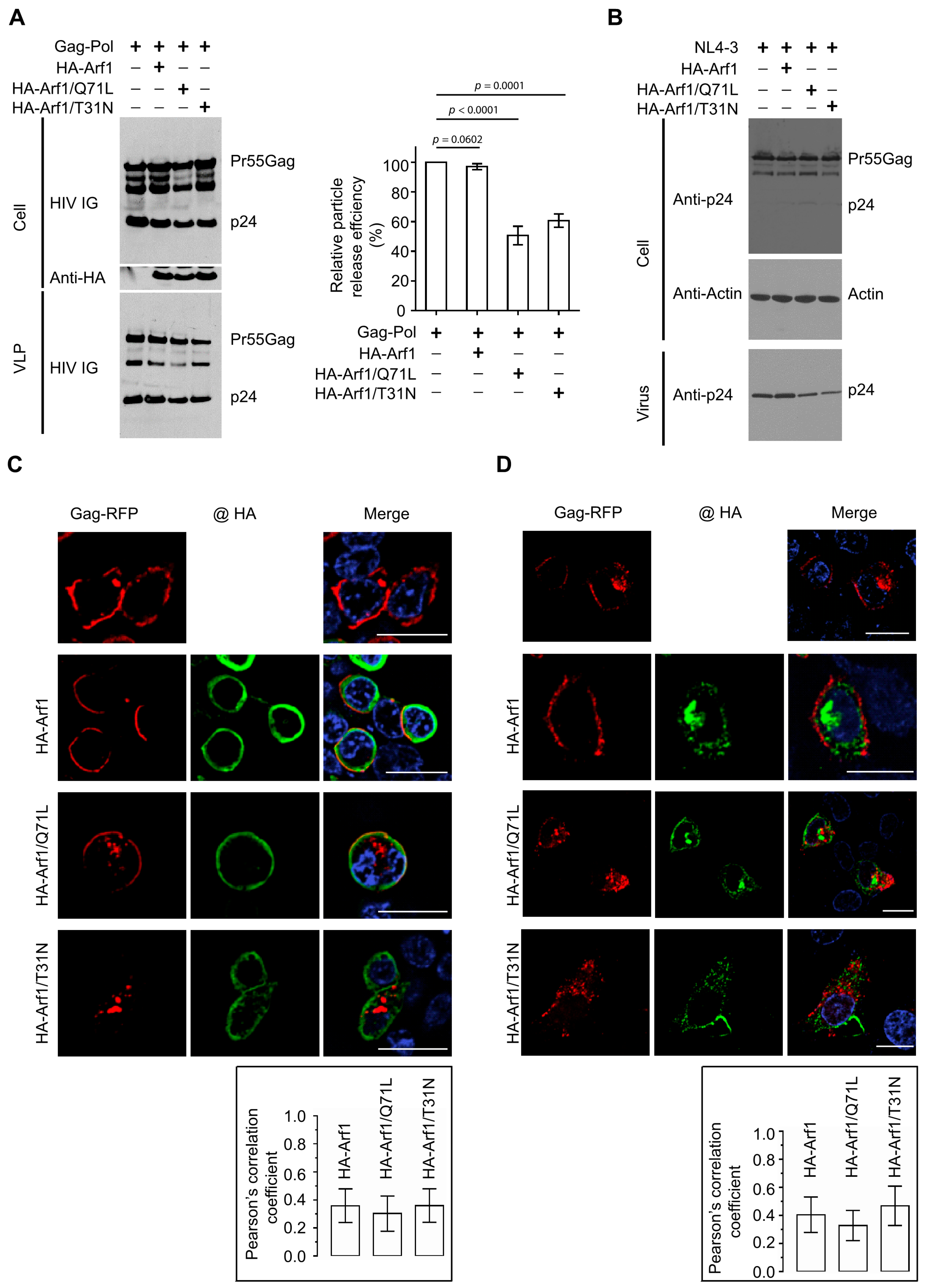 Viruses 18 00011 g001