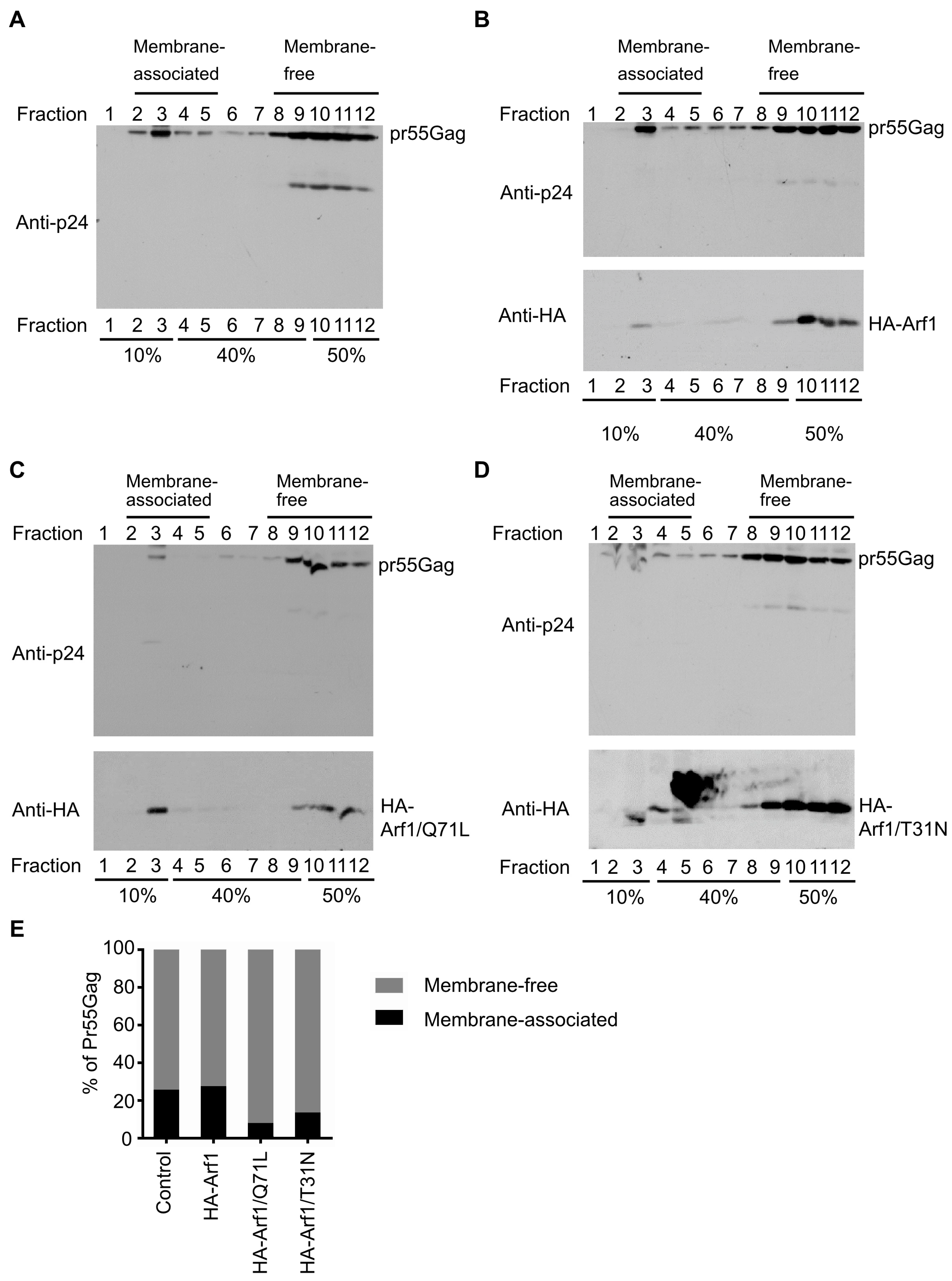 Viruses 18 00011 g002