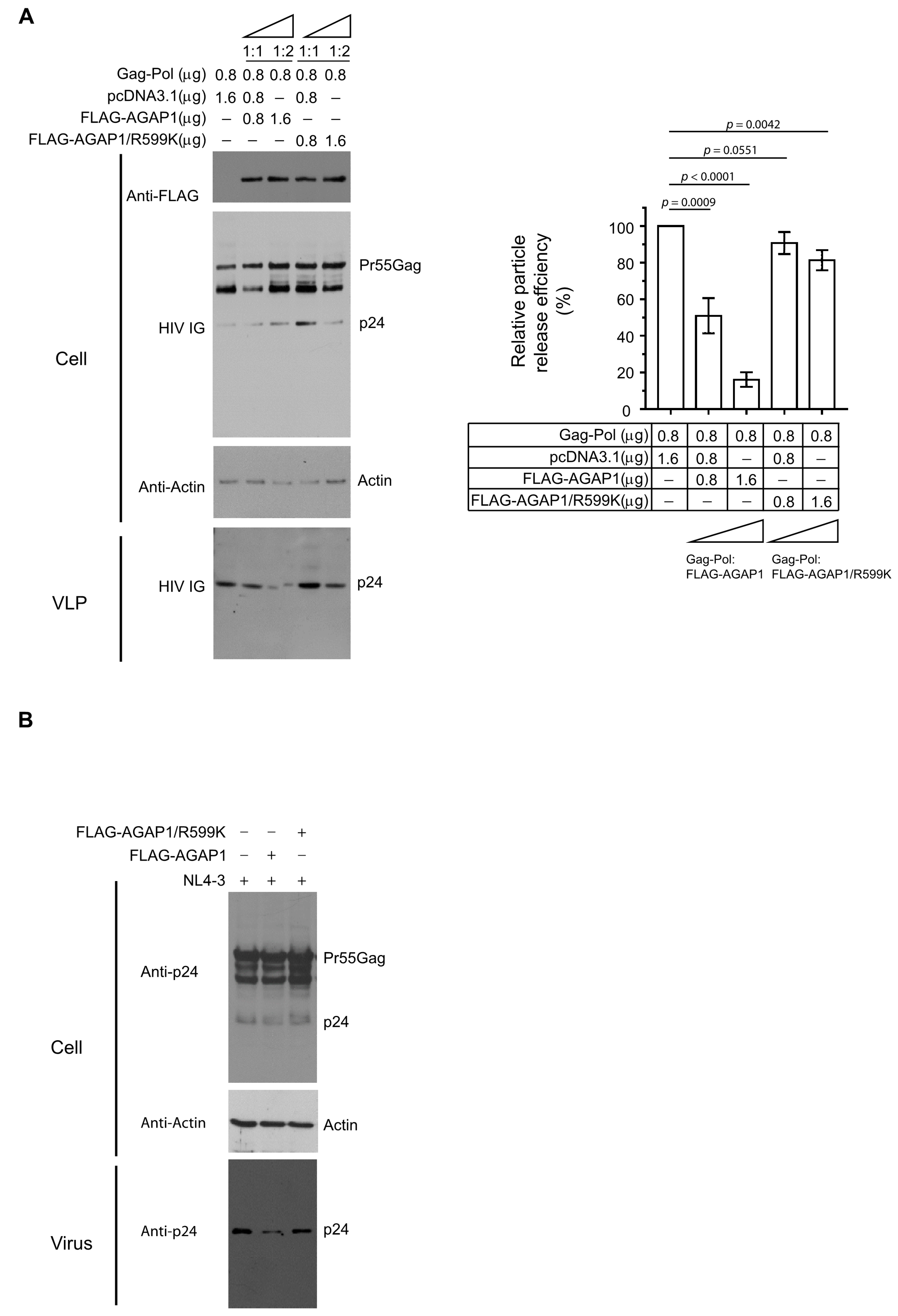 Viruses 18 00011 g003a