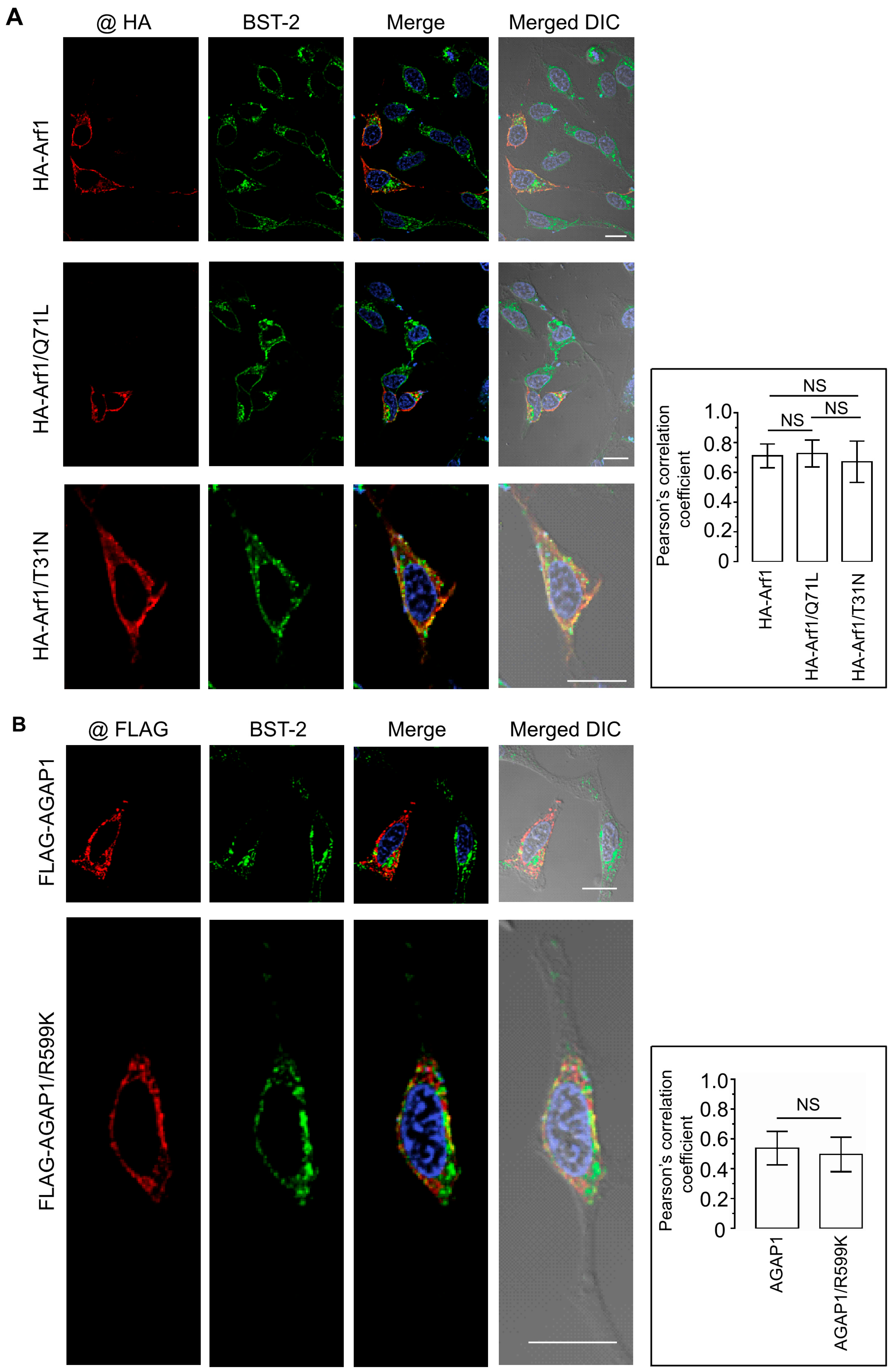 Viruses 18 00011 g005